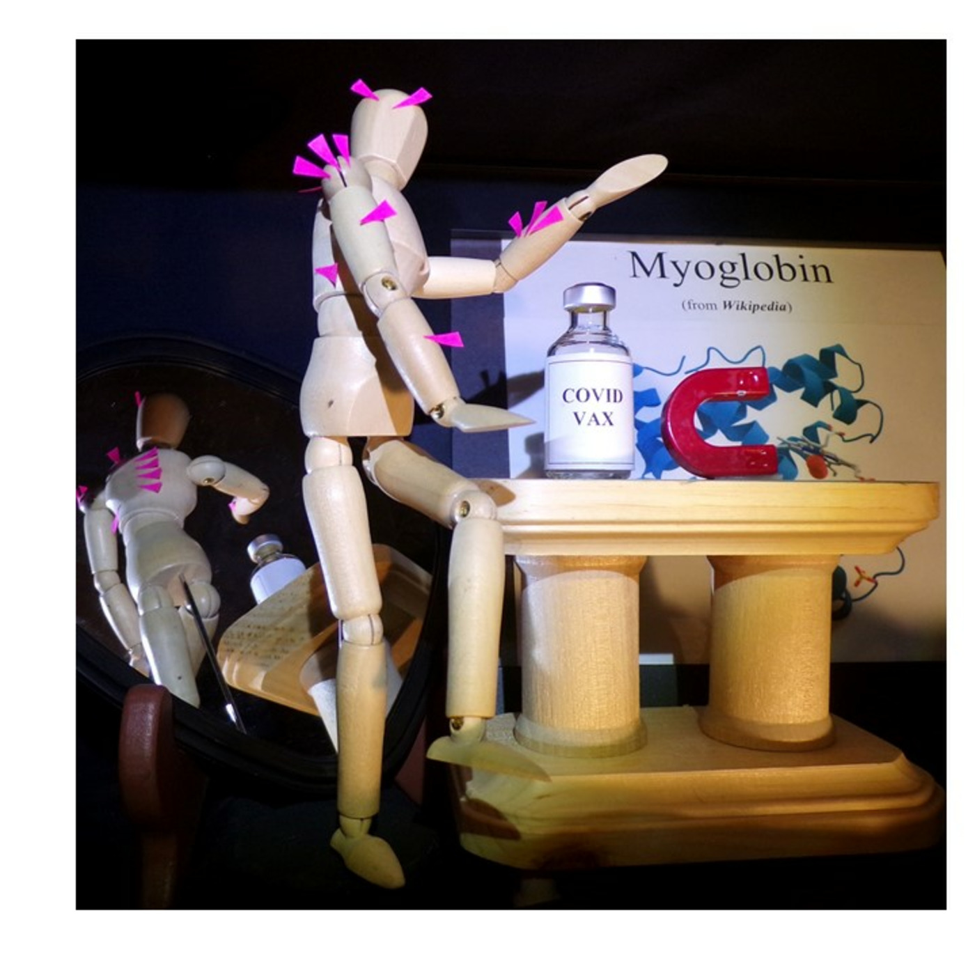 The Second Society Project of the Third Millennium