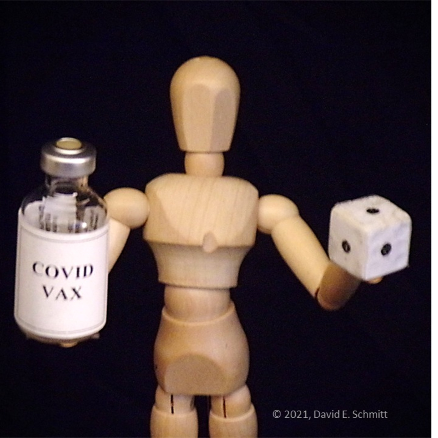 The Second Society Project of the Third Millennium