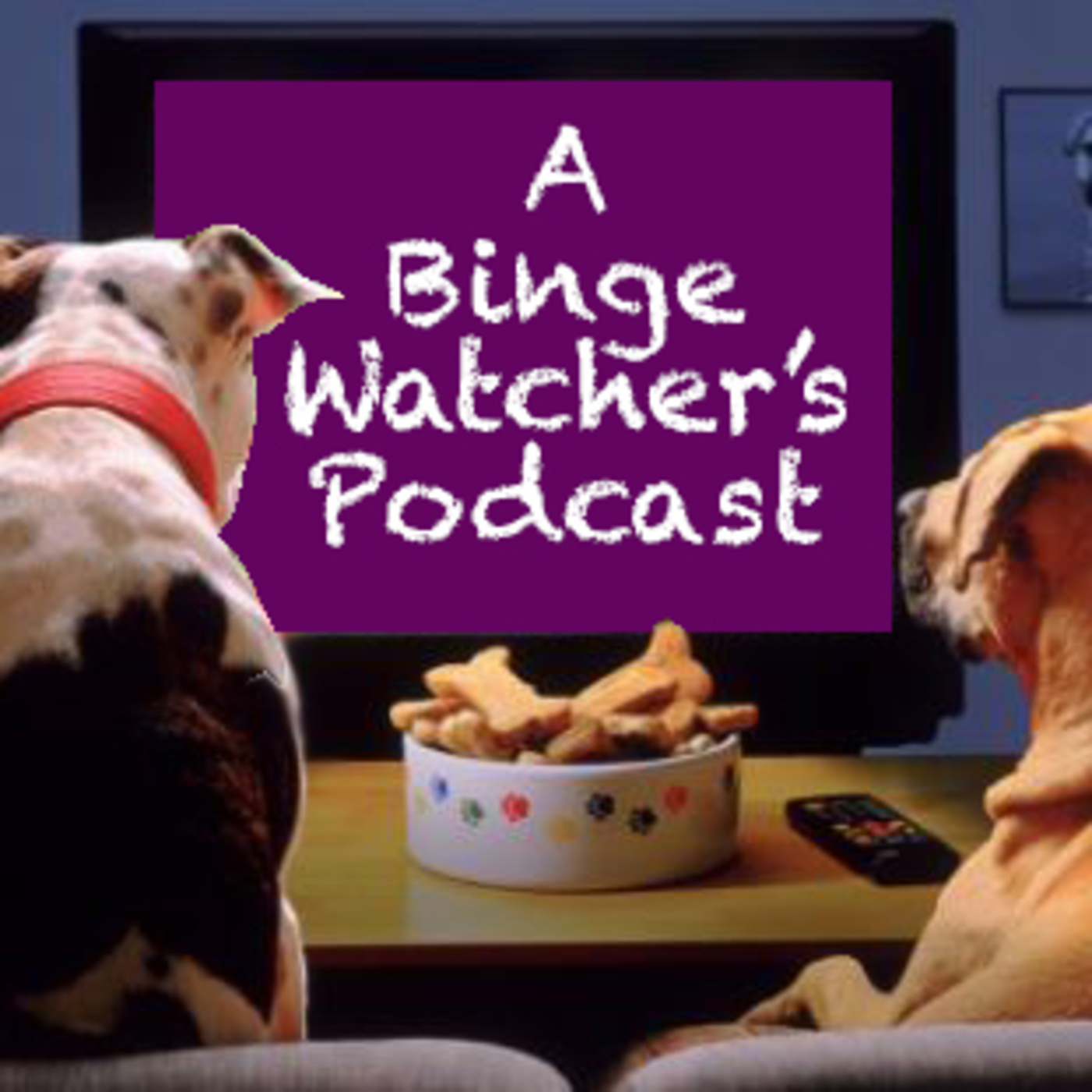 A Binge Watcher's Podcast