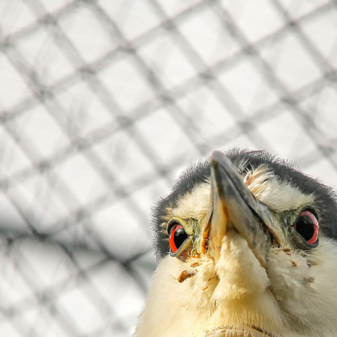 Ep. 128, Objects in Mirror are Different Than They Appear Ep. 128, Objects in Mirror are Different Than They Appear