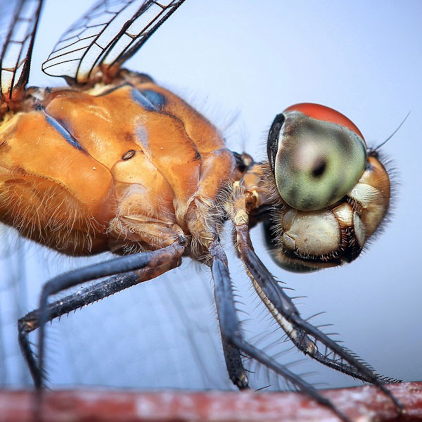 Vancouver Writers Podcast