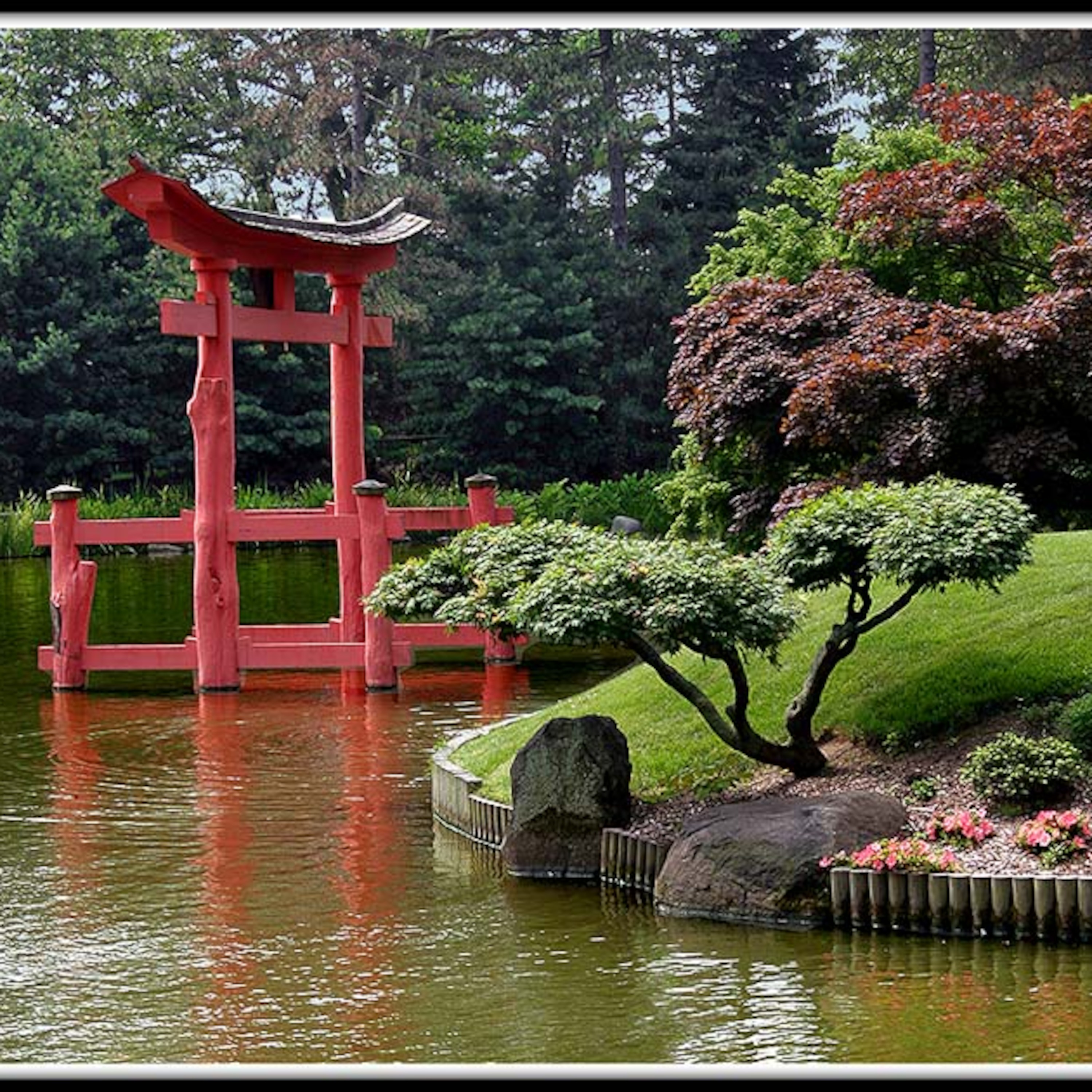 JARDIN DE PAZ  ...... GARDEN OF PEACE episode artwork