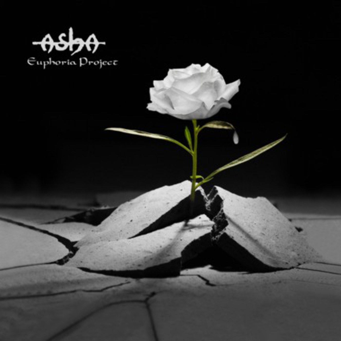 Metalkas MP3 19-06-10 Entrevista Kike G. Caamaño - Asha "Euphoria Project"