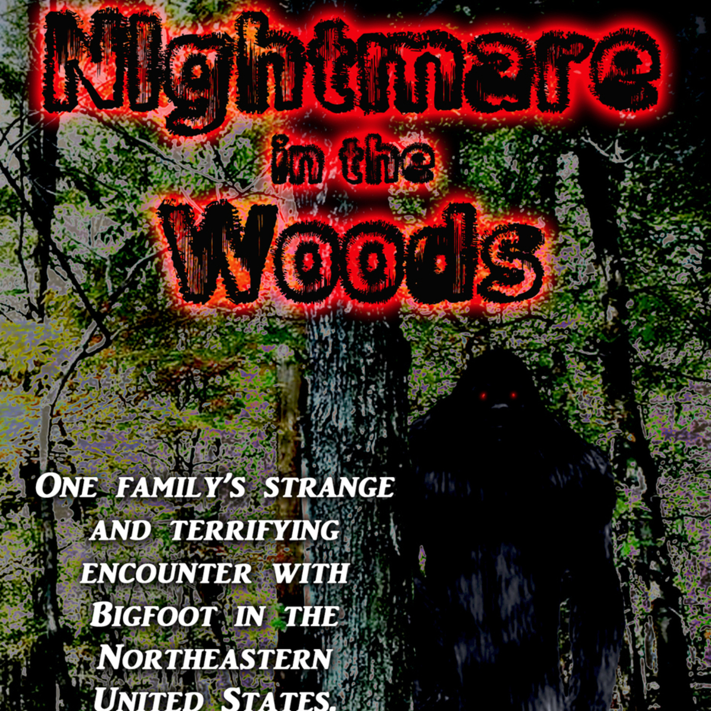 11/05/2017 Nightmare in the Woods with A.H. Verge