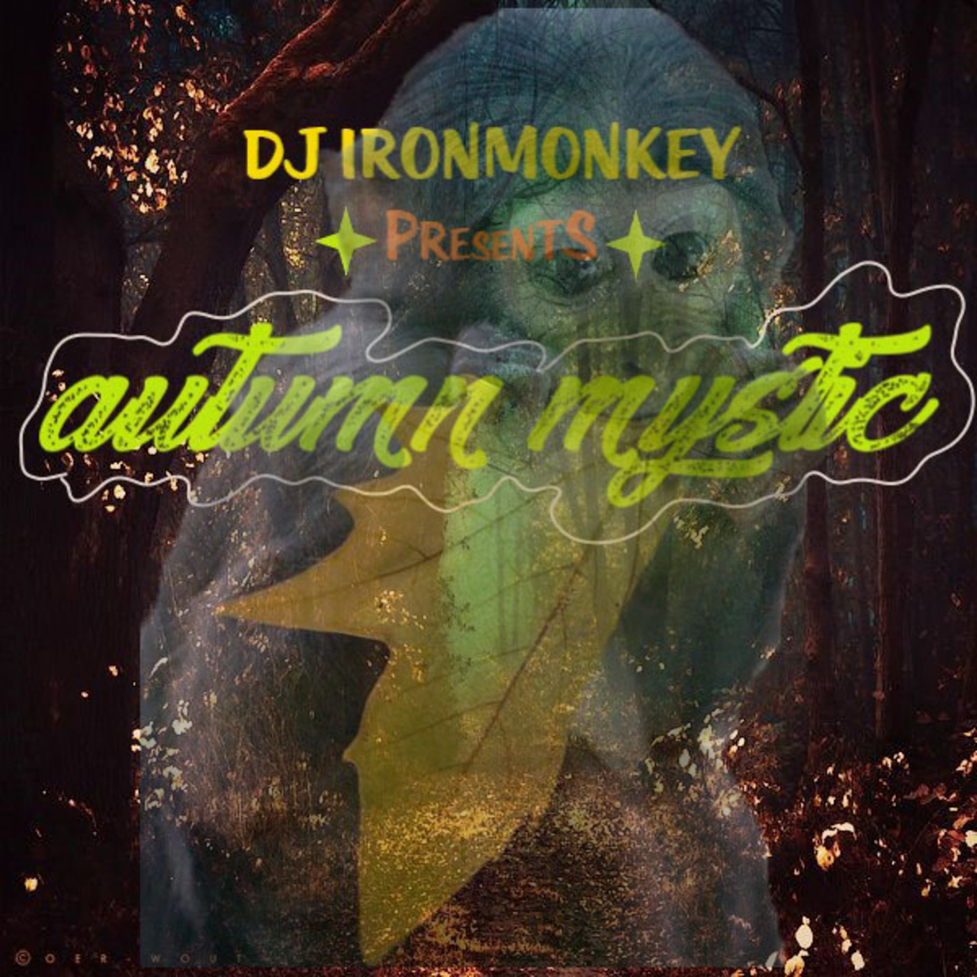 DJ IRONMONKEY presents: Autumn Mystic