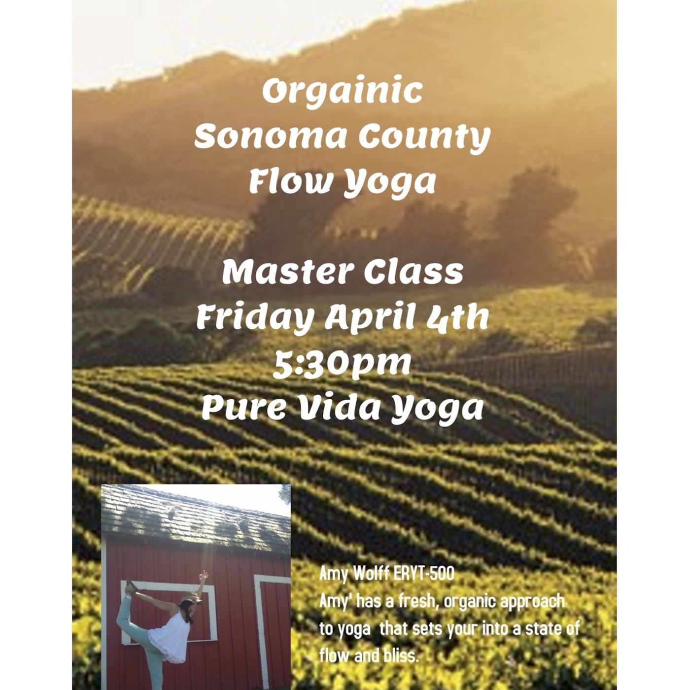 Stable Yoga with Amy Wolff
