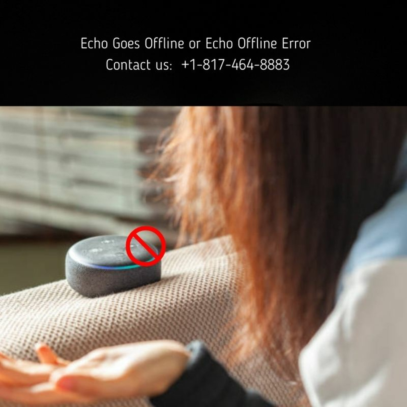 Echo Alexa Customer Service Number +1-817-464-8883 Alexa Helpline