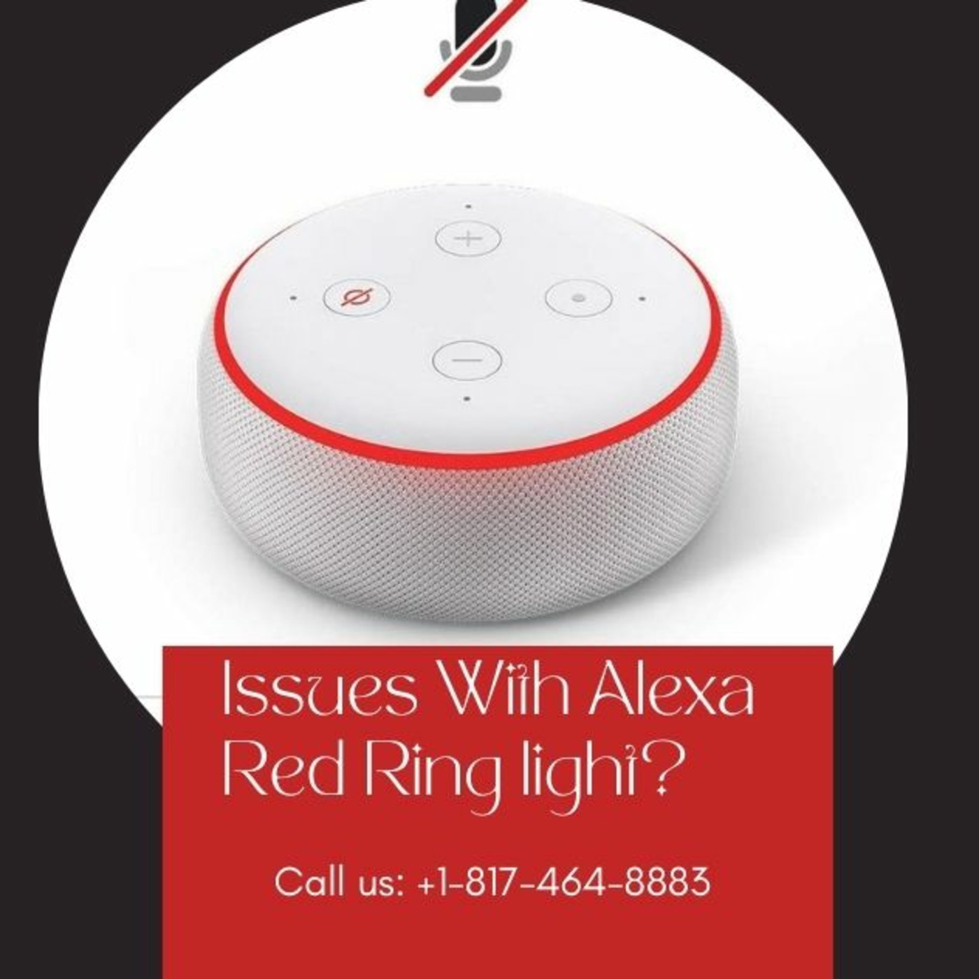 Echo Alexa Customer Service Number +1-817-464-8883 Alexa Helpline