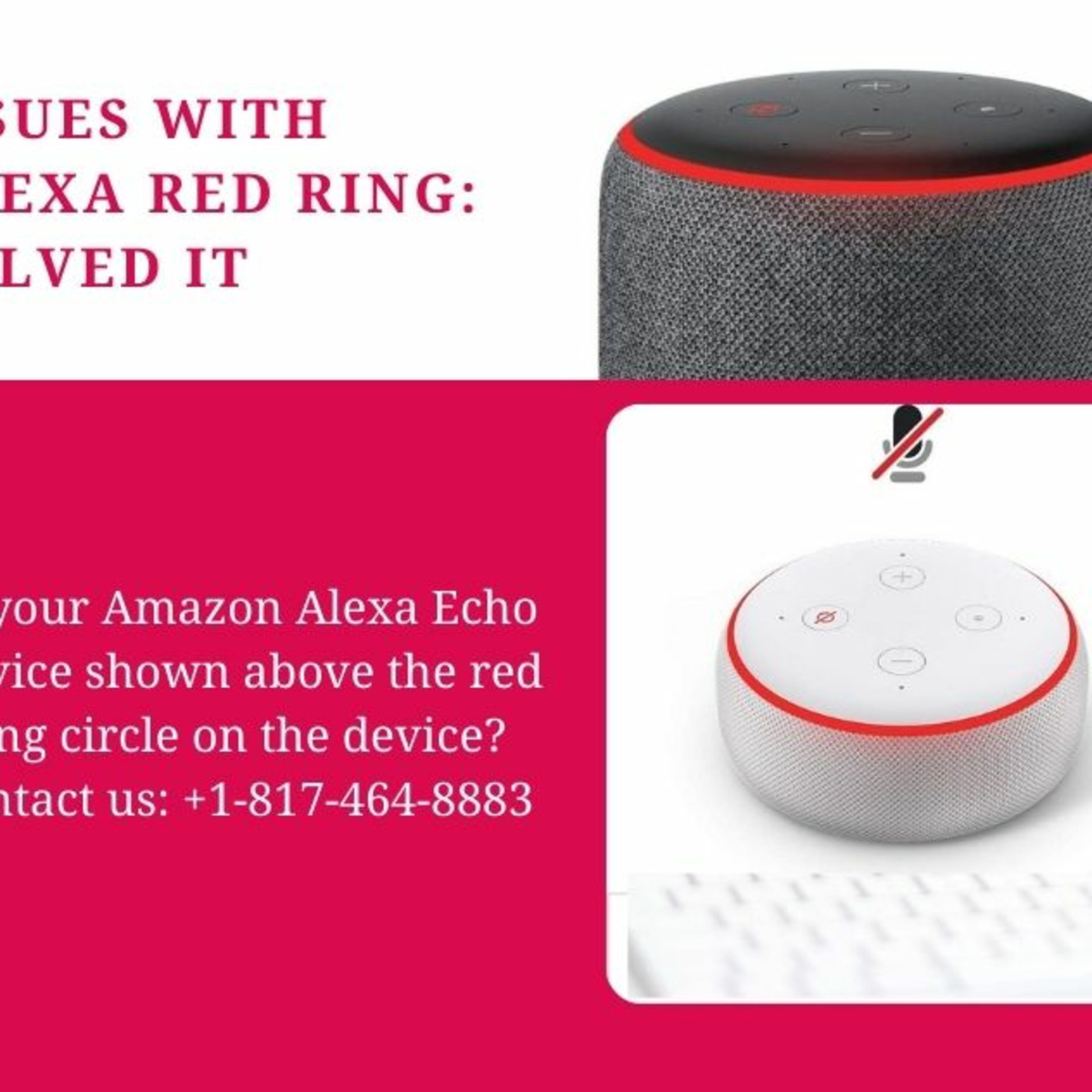 Echo Alexa Customer Service Number +1-817-464-8883 Alexa Helpline