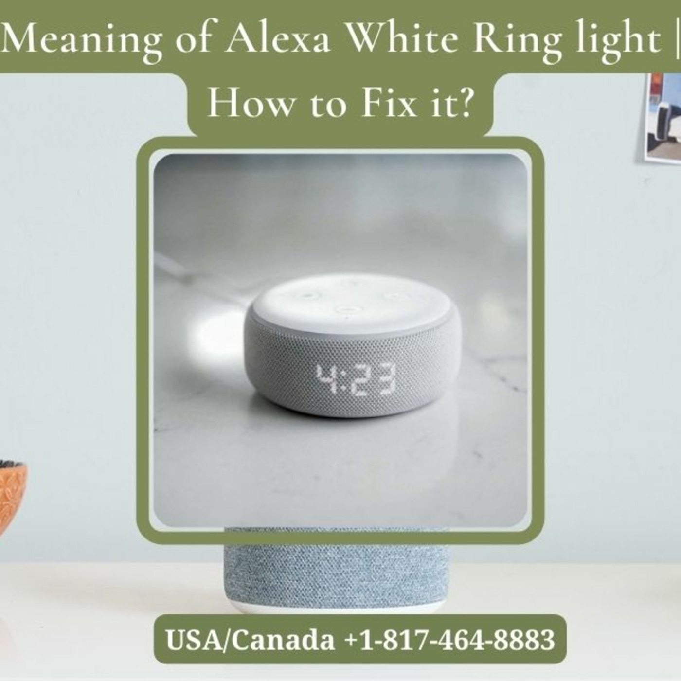 Echo Alexa Customer Service Number +1-817-464-8883 Alexa Helpline