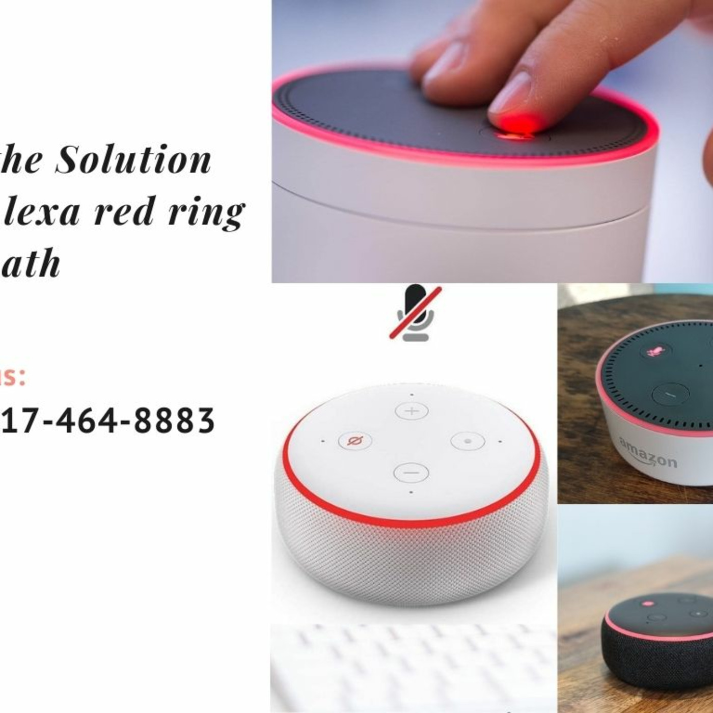 Echo Alexa Customer Service Number +1-817-464-8883 Alexa Helpline