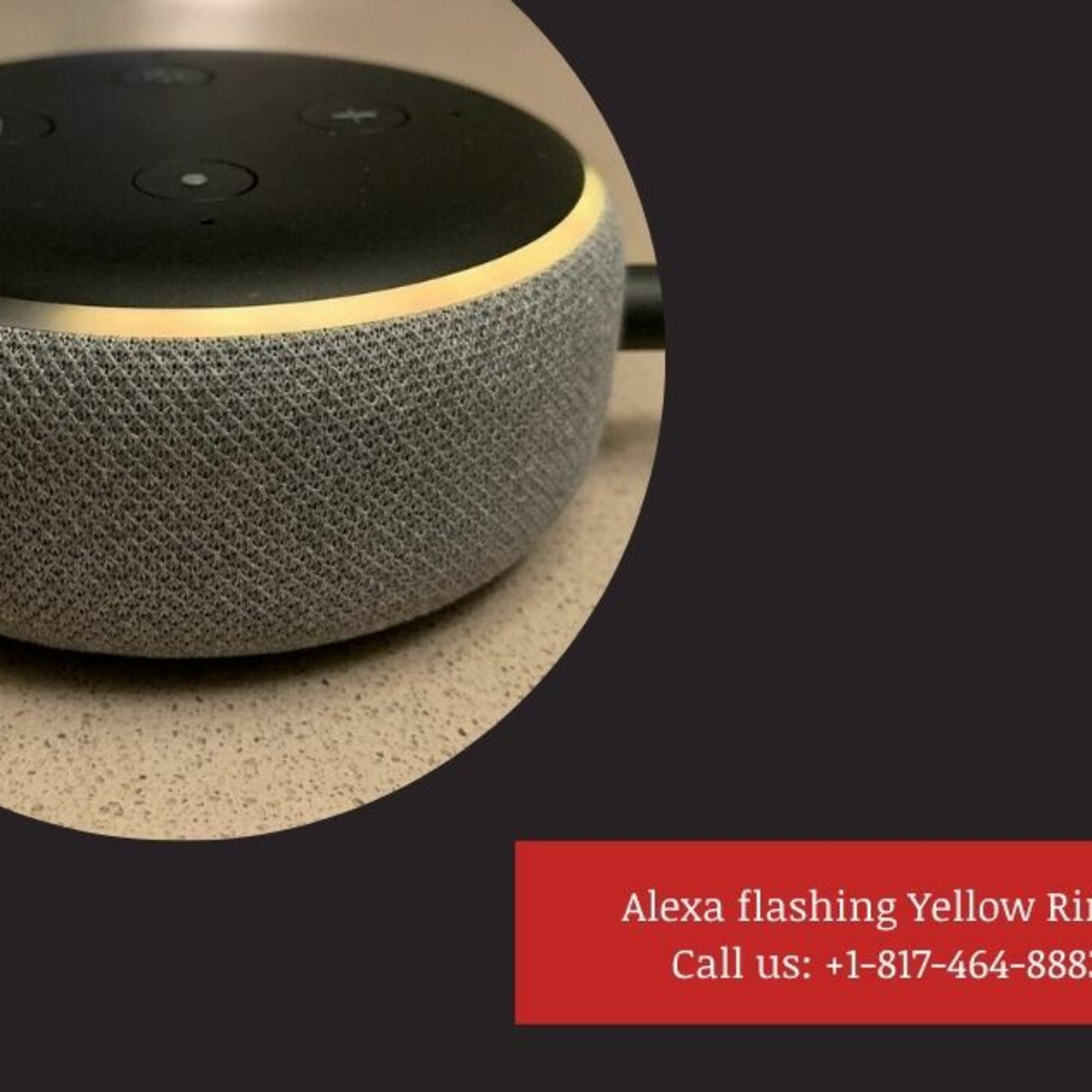 Echo Alexa Customer Service Number +1-817-464-8883 Alexa Helpline