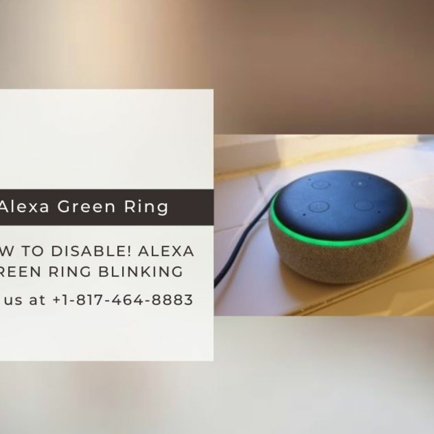 Echo Alexa Customer Service Number +1-817-464-8883 Alexa Helpline