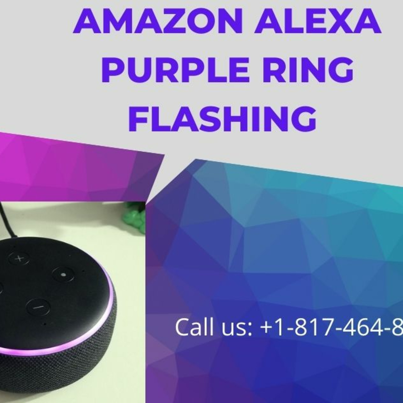 Echo Alexa Customer Service Number +1-817-464-8883 Alexa Helpline