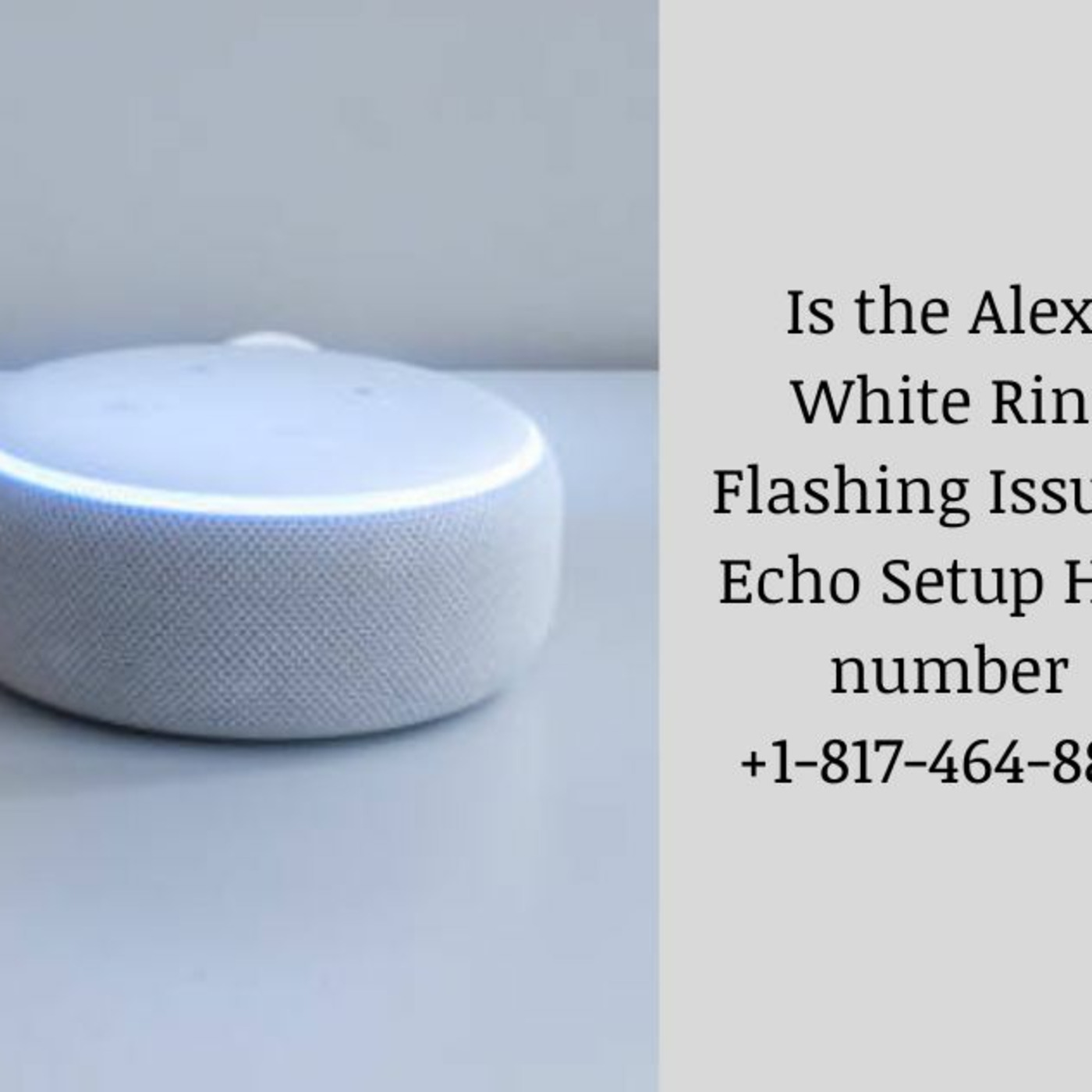 Echo Alexa Customer Service Number +1-817-464-8883 Alexa Helpline