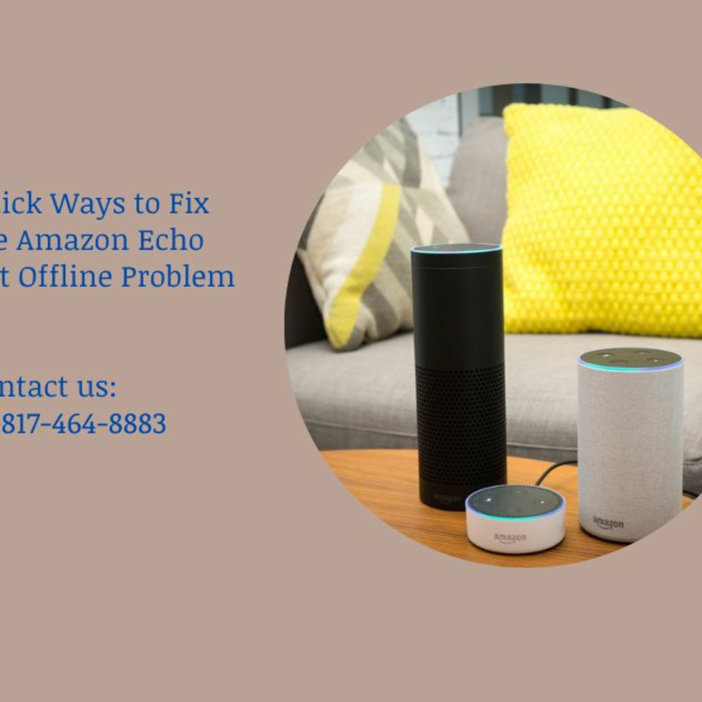 Echo Alexa Customer Service Number +1-817-464-8883 Alexa Helpline