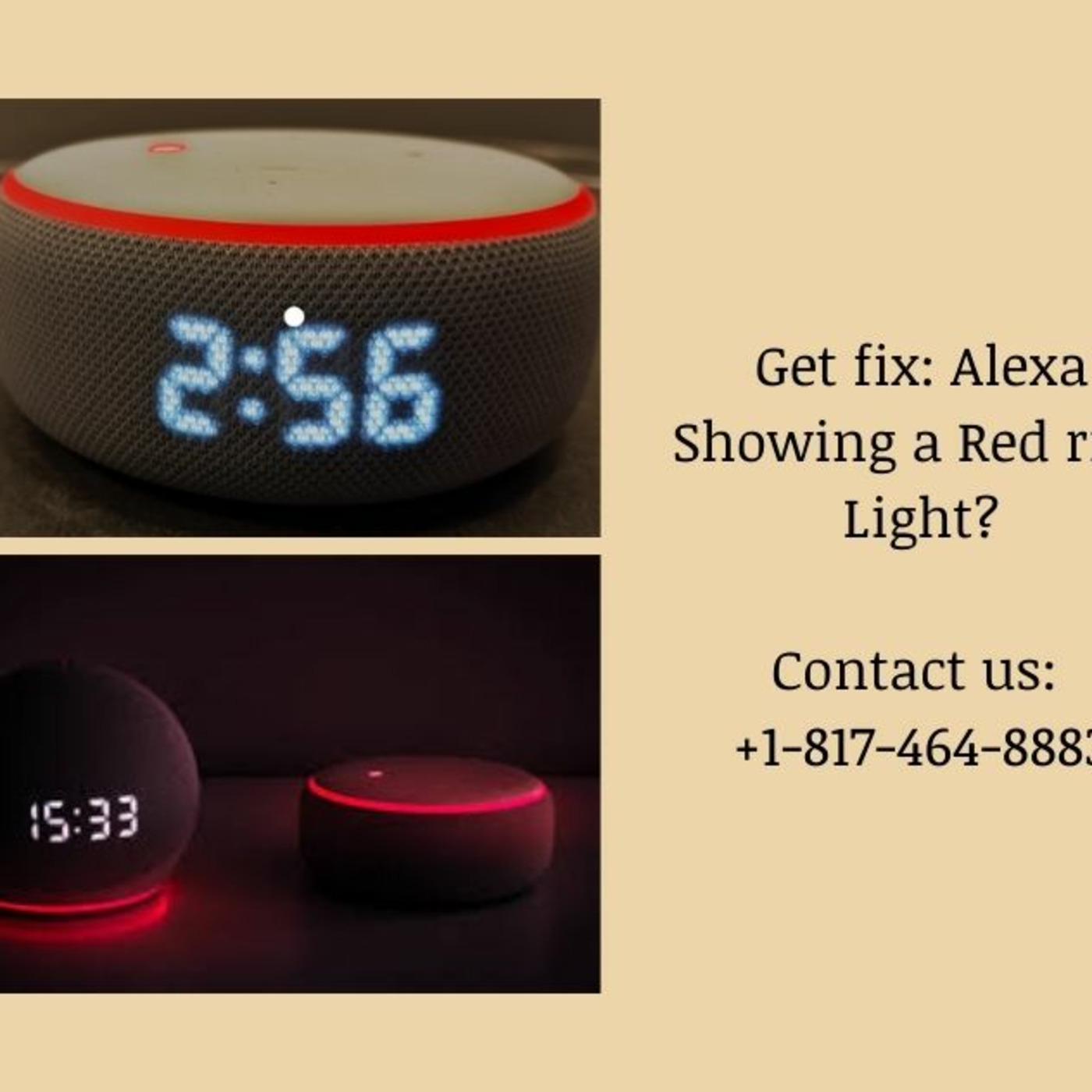 Echo Alexa Customer Service Number +1-817-464-8883 Alexa Helpline