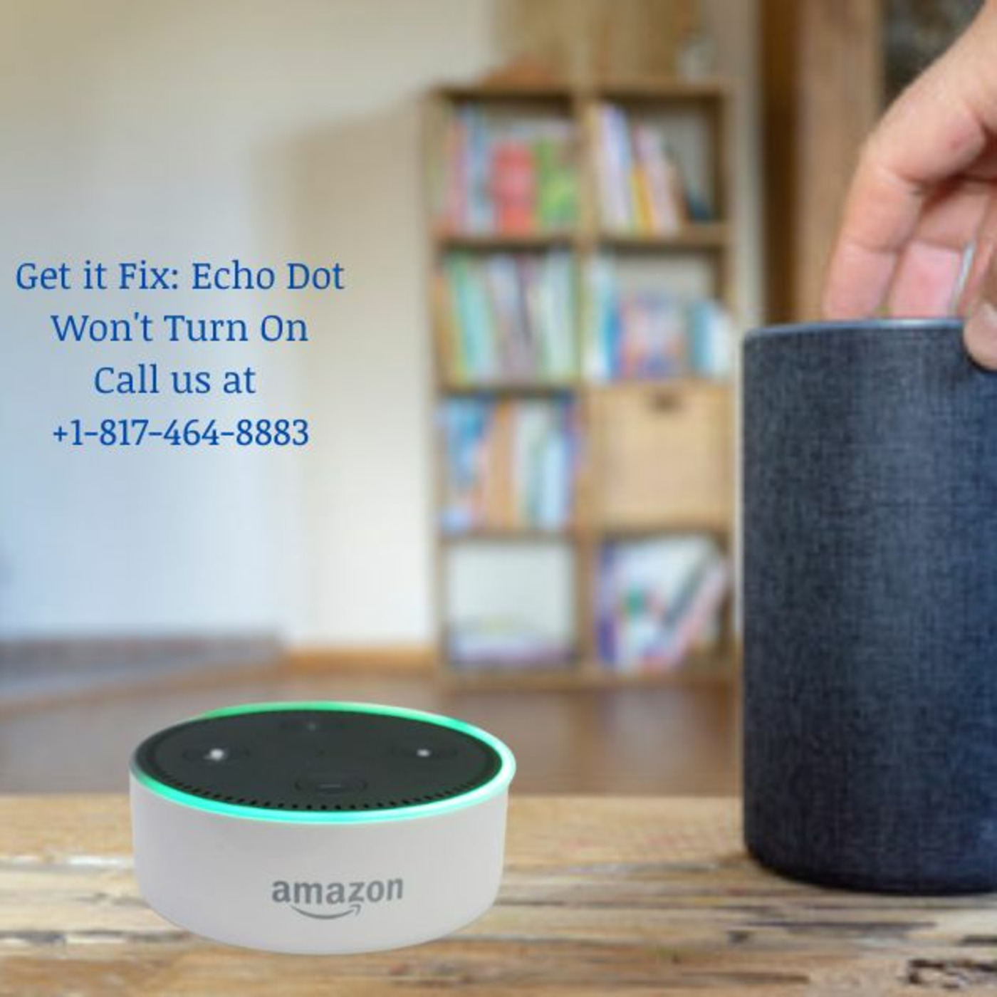 Echo Alexa Customer Service Number +1-817-464-8883 Alexa Helpline