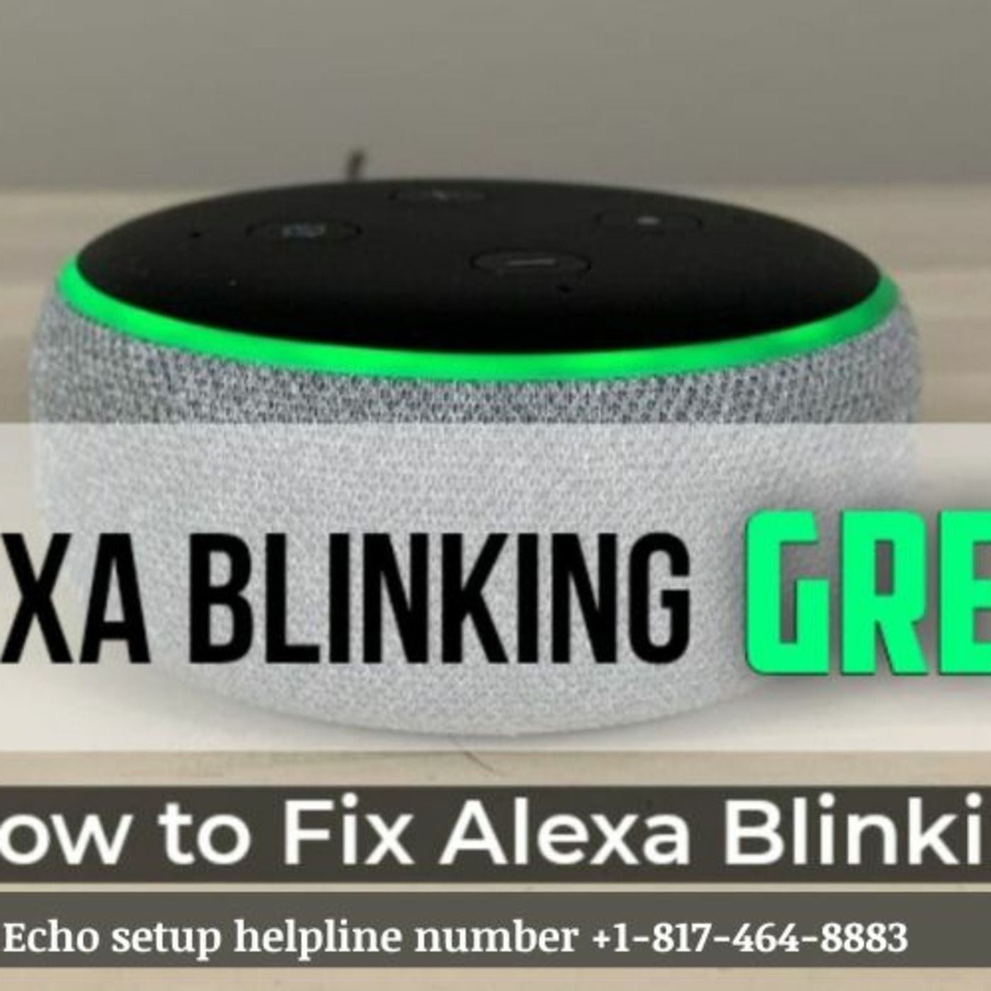 Echo Alexa Customer Service Number +1-817-464-8883 Alexa Helpline