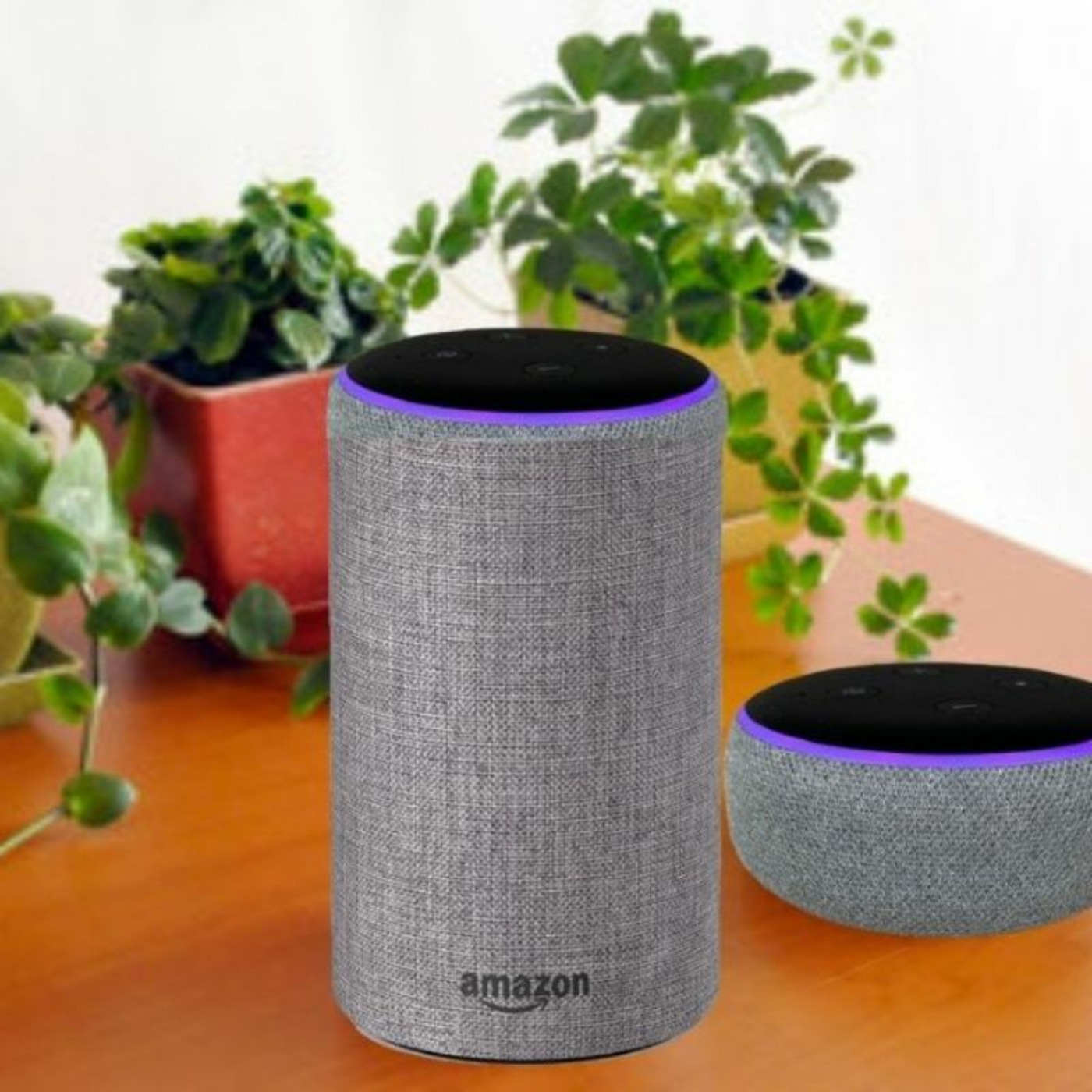 Echo Alexa Customer Service Number +1-817-464-8883 Alexa Helpline