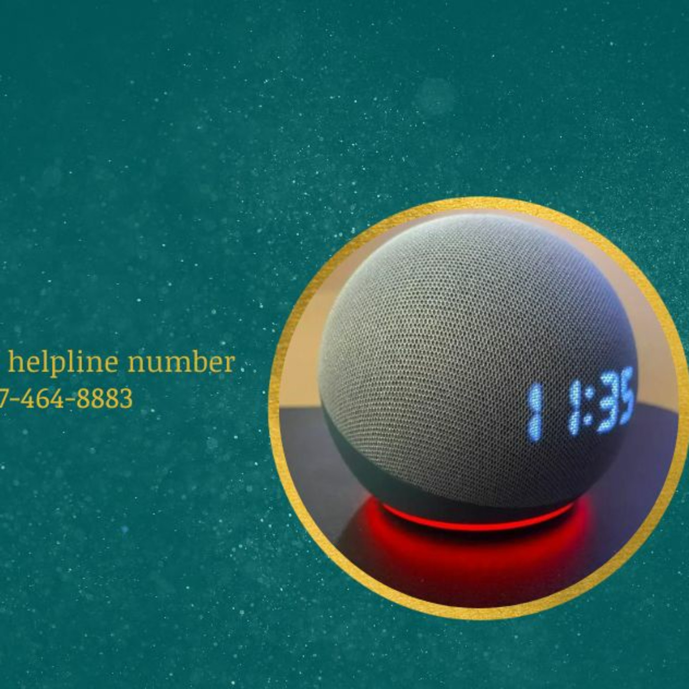 Echo Alexa Customer Service Number +1-817-464-8883 Alexa Helpline