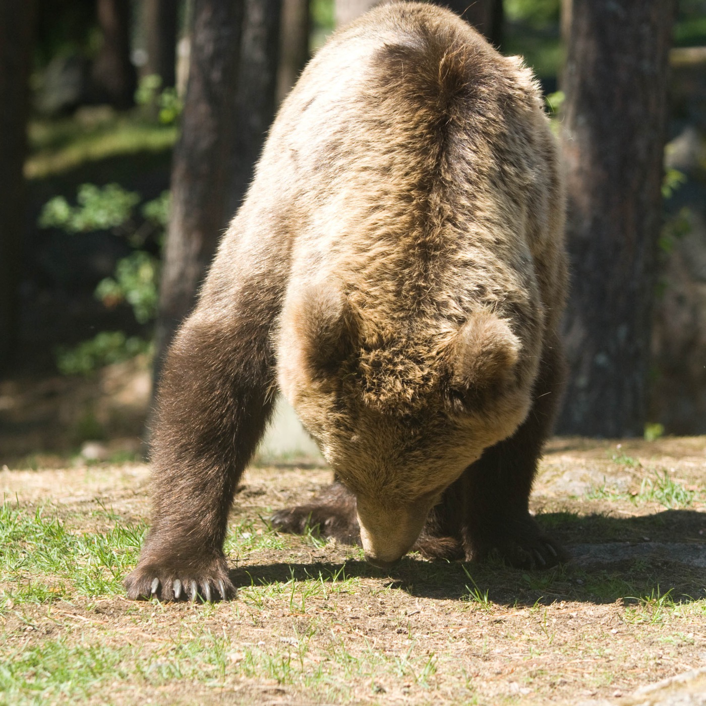 Con vista al mundo hispanohablante