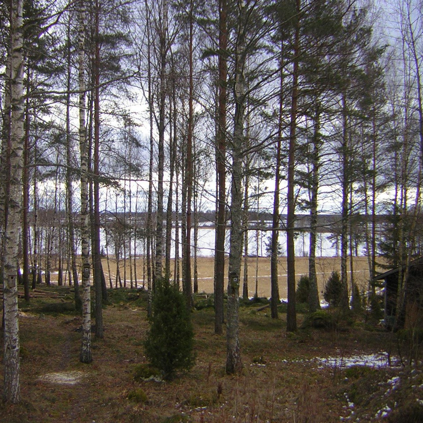 Con vista al mundo hispanohablante