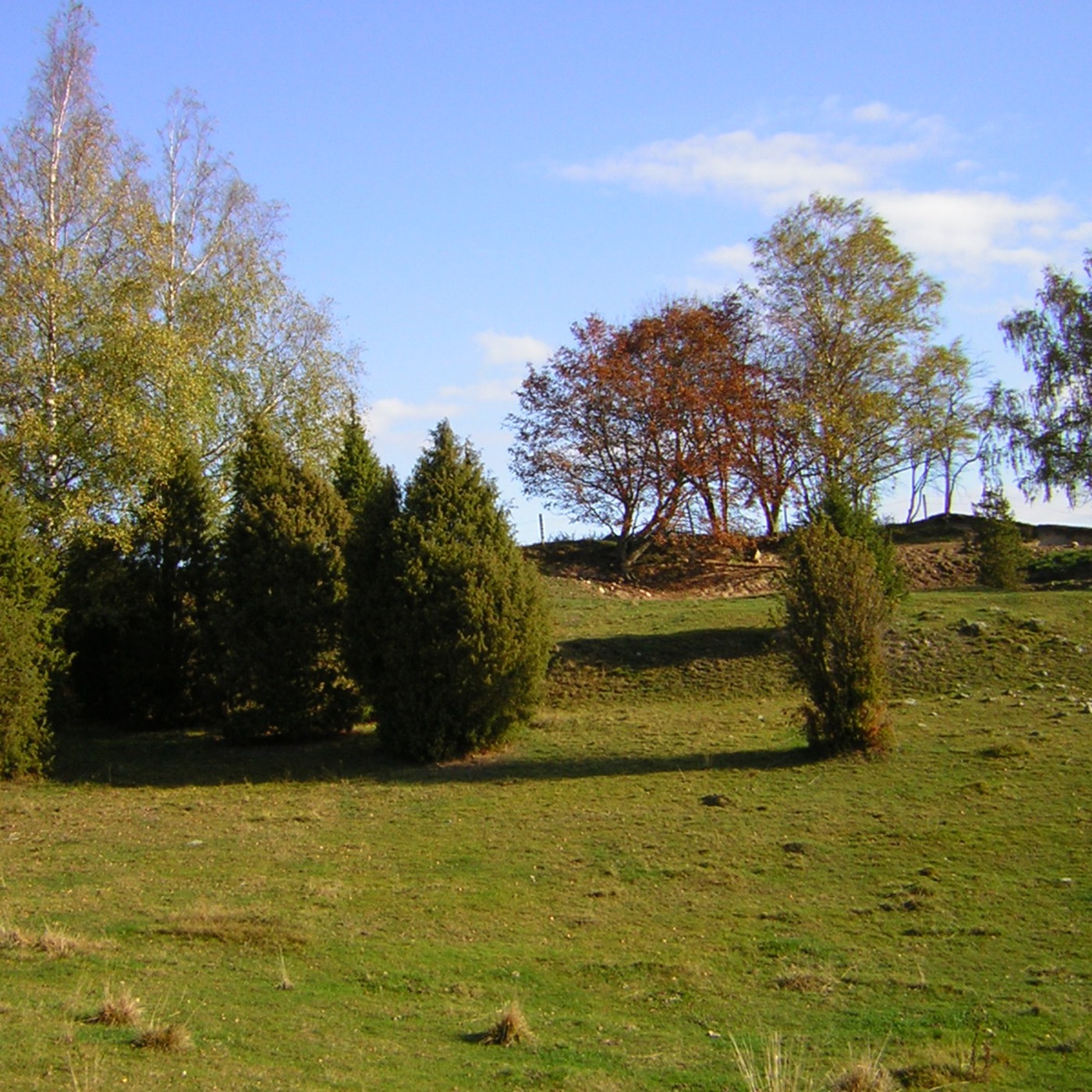 Con vista al mundo hispanohablante