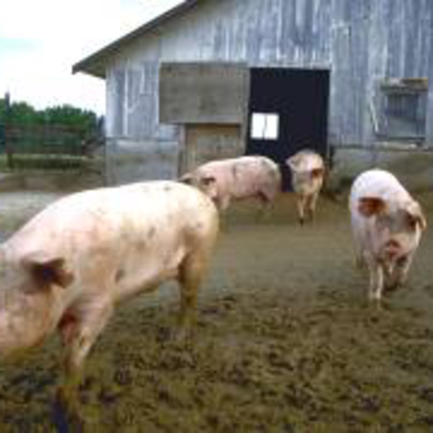 Con vista al mundo hispanohablante