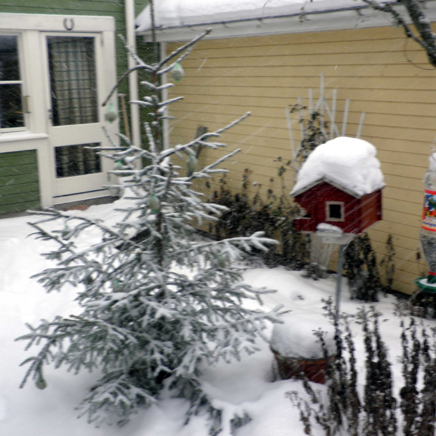 Con vista al mundo hispanohablante