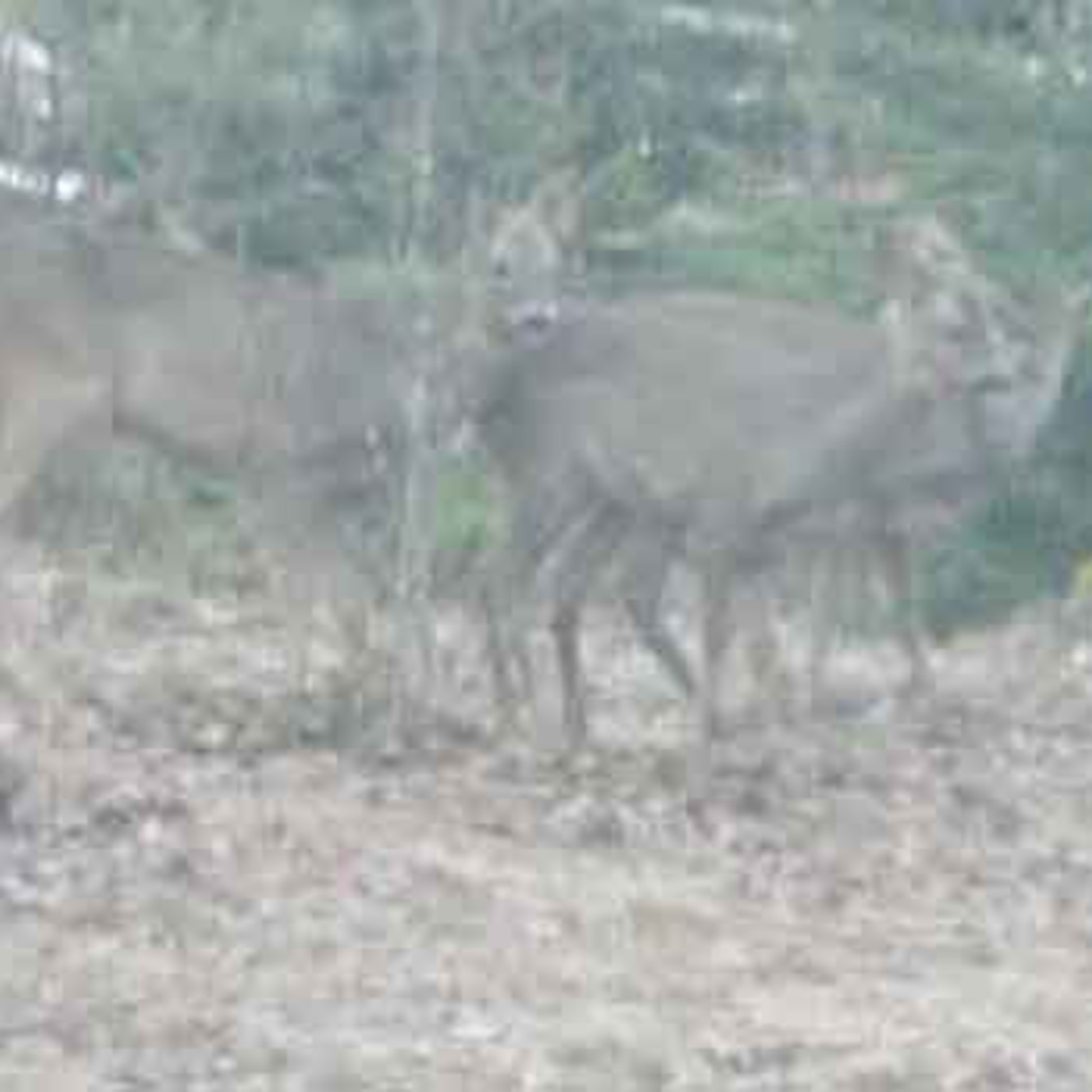 Con vista al mundo hispanohablante