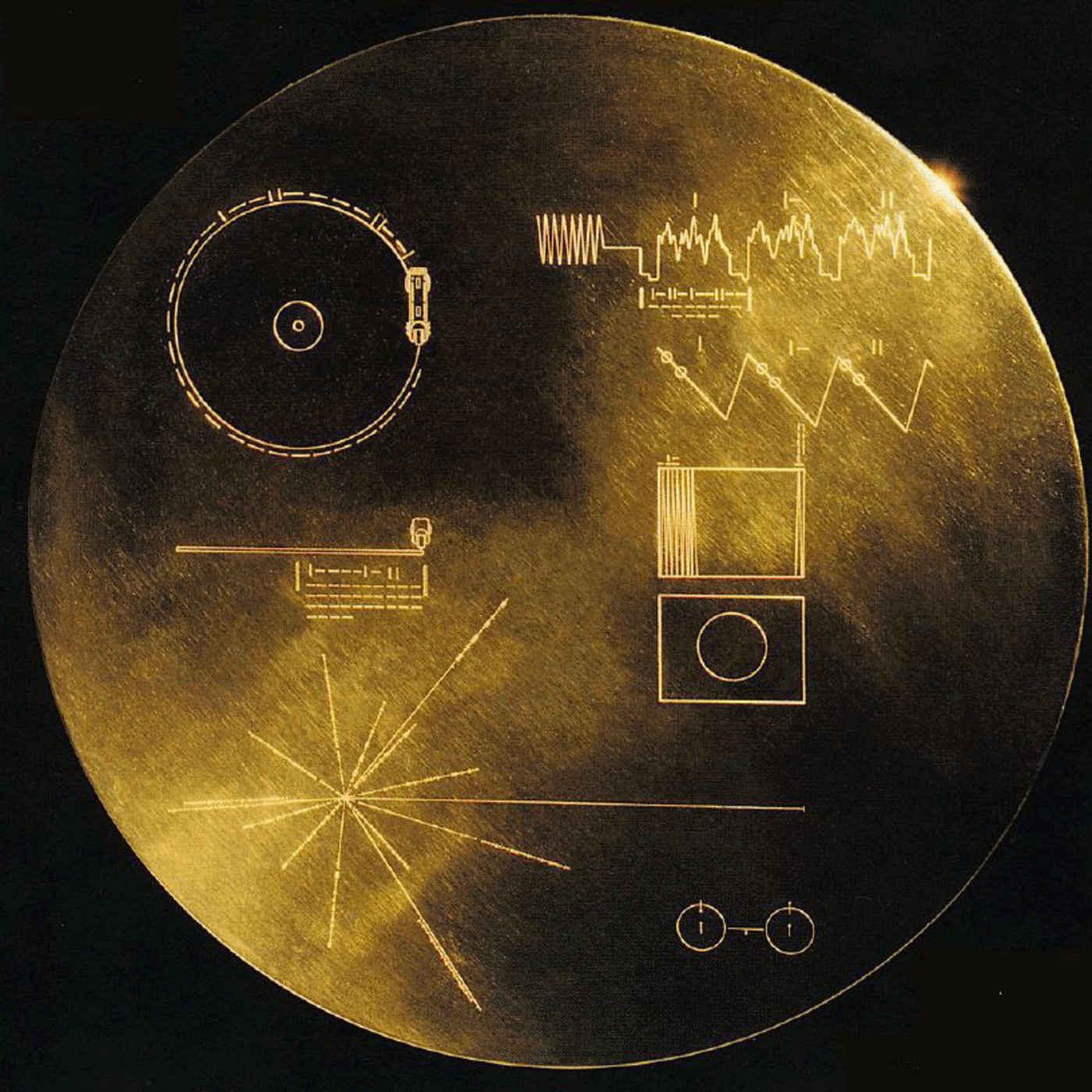 The LDub Experience Episode 16: Voyager Golden Part 2
