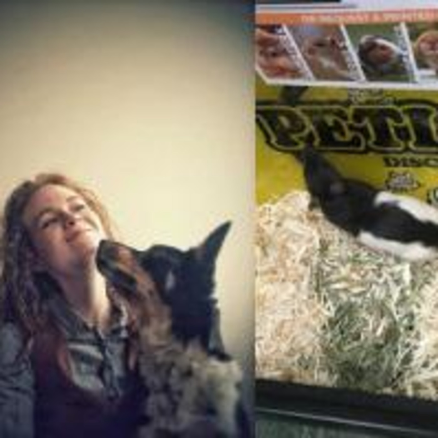 Into the Dark Ep. 1: Divination (feat. Swan Drsti and Sheila the psychic rat)