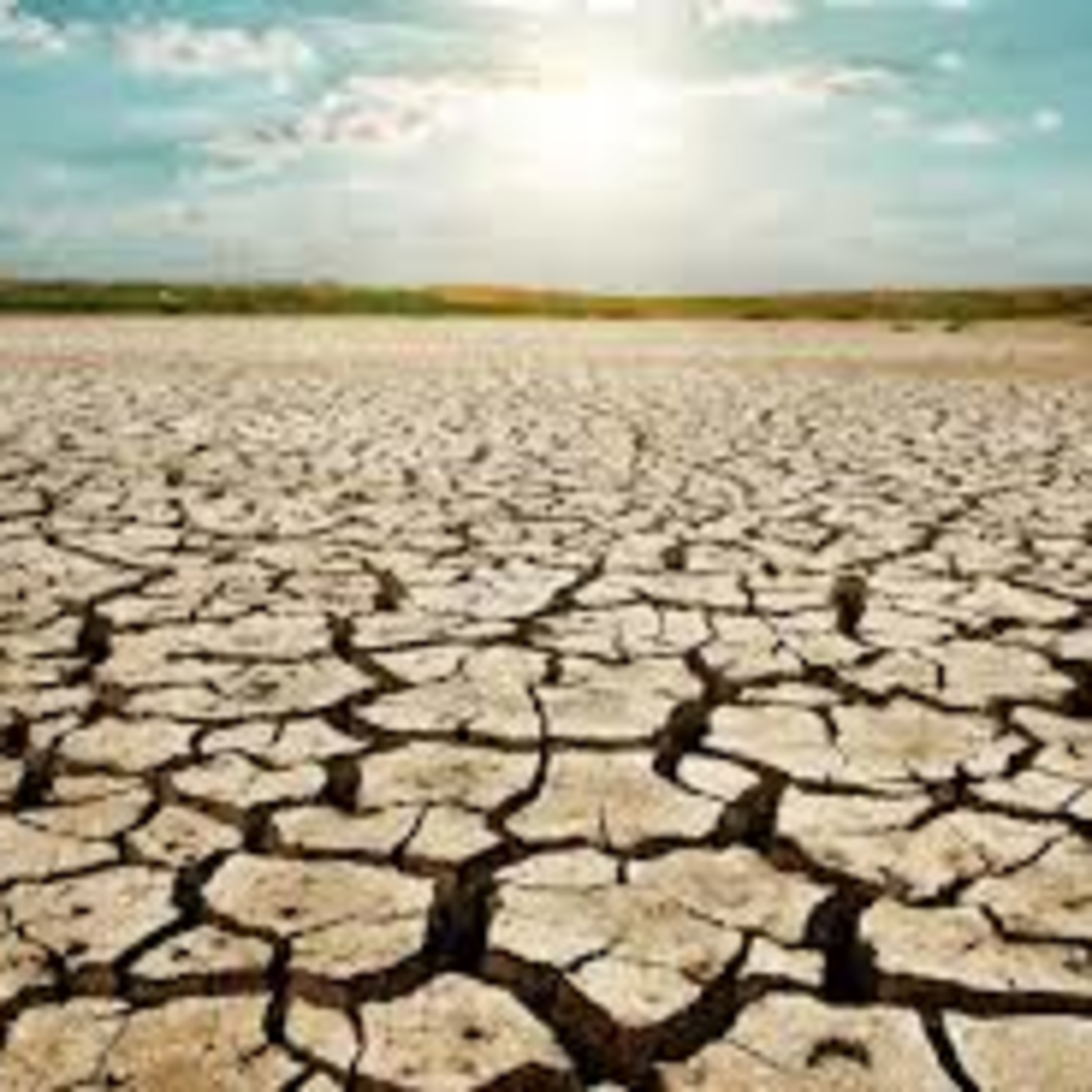 Confronting the California Drought - Water Policy and Communities with Adam Scow and Javan Briggs