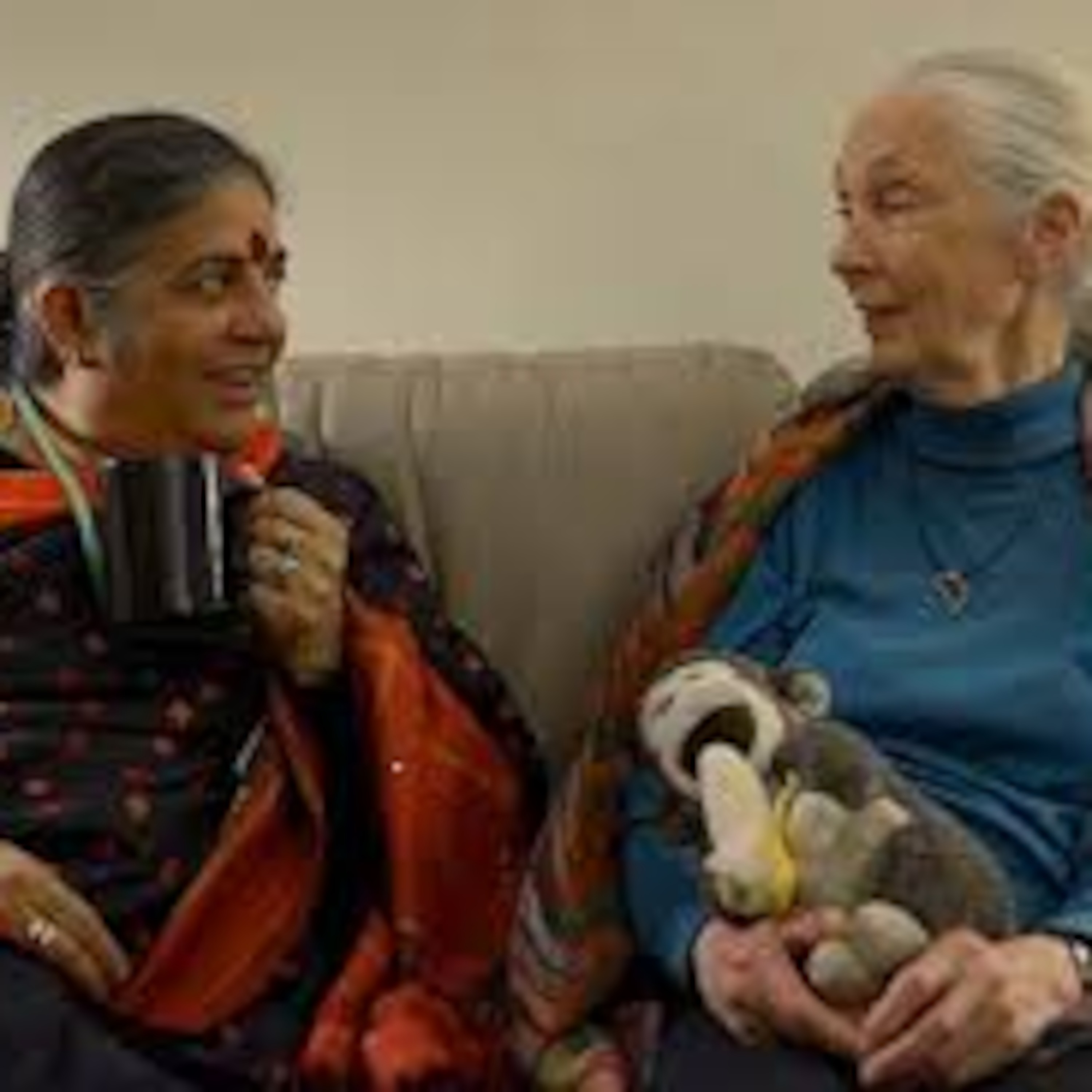 International Women's Climate & Earth Summit in NYC - September 20-23,2013