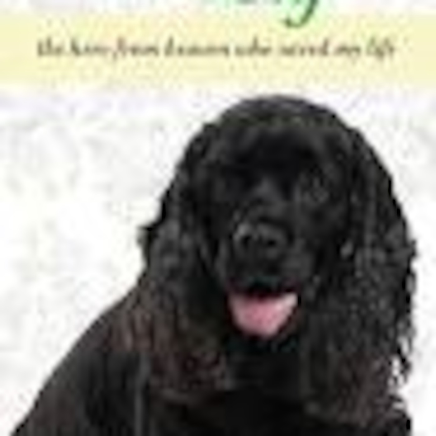 Bright Side with Tekneshia