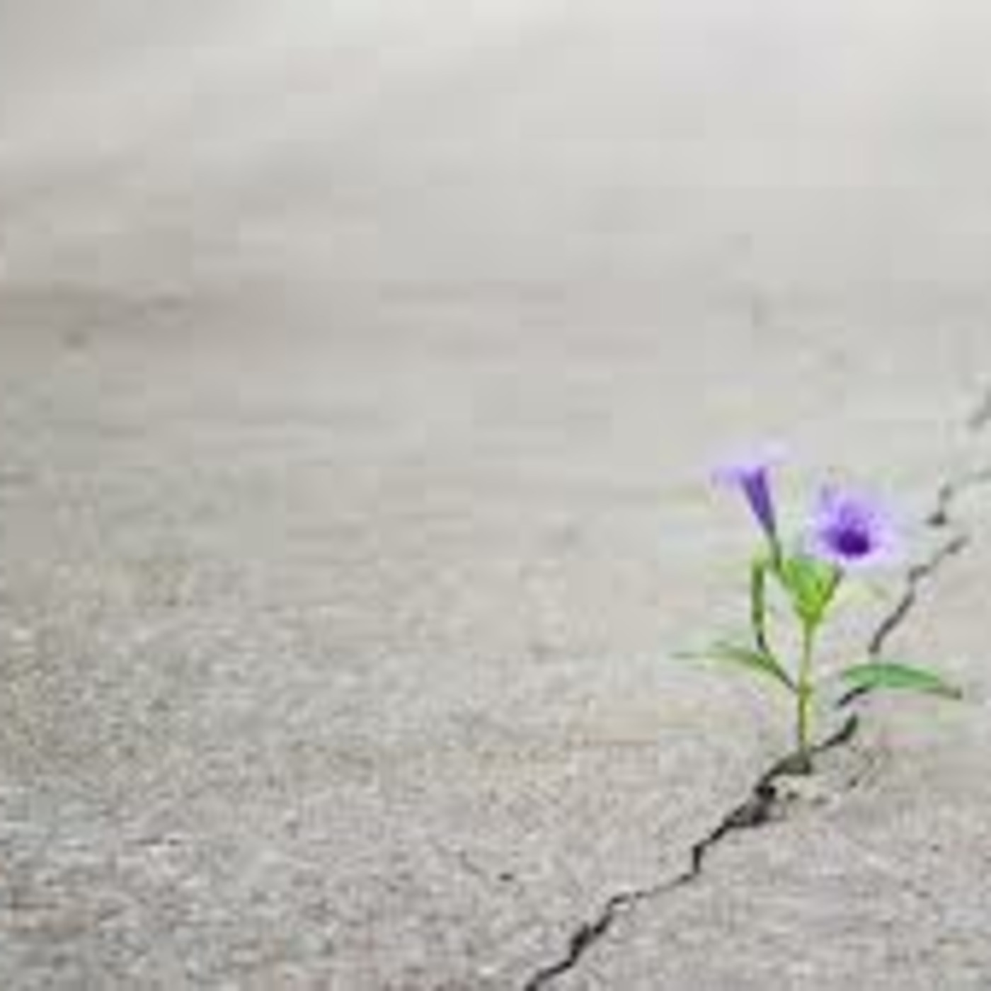Mindset Stories