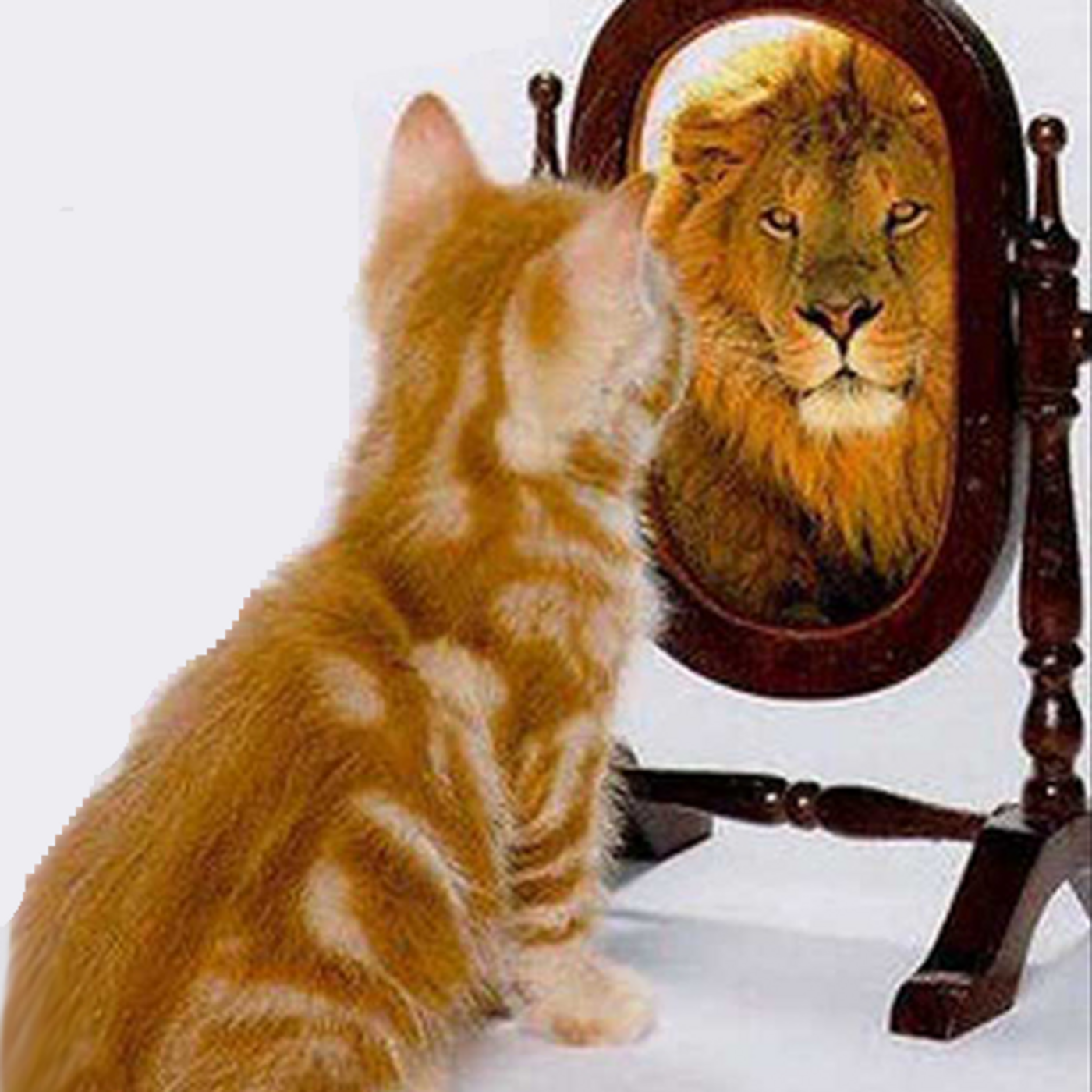 Episode 201: Seeing ourselves as others see us.