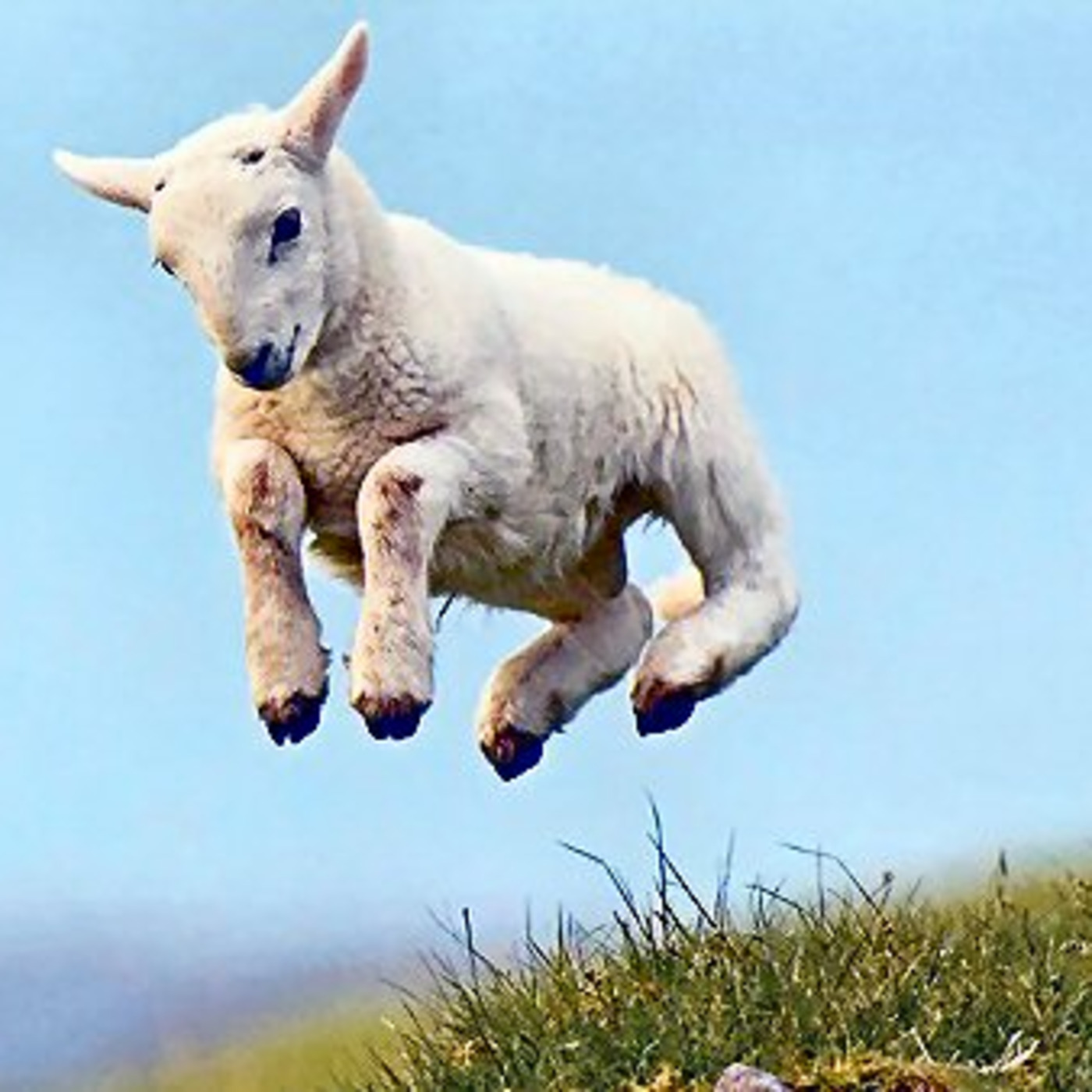 Episode 288: Sermon for 11th May 2025 The Good Shepherd. No recording for the 18th.