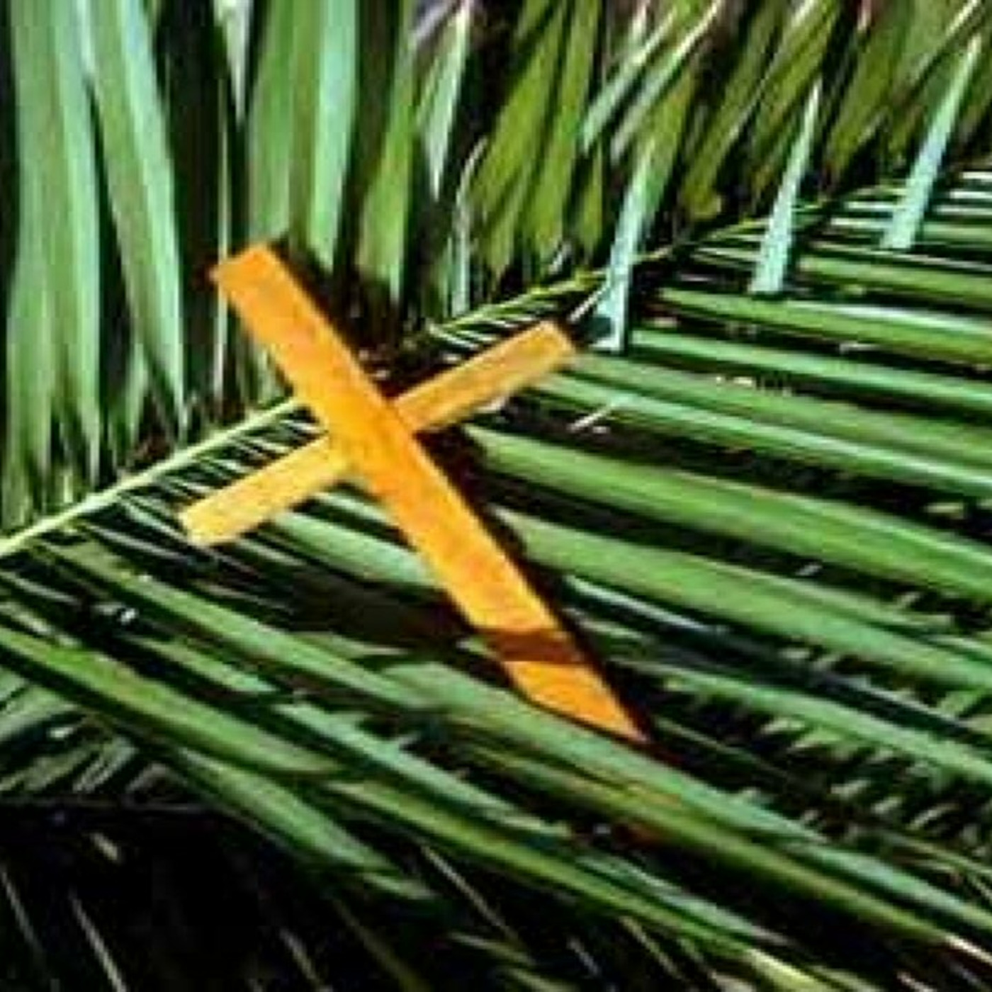 Episode 333: 29th March 2026 - Palm Sunday Readings episode artwork