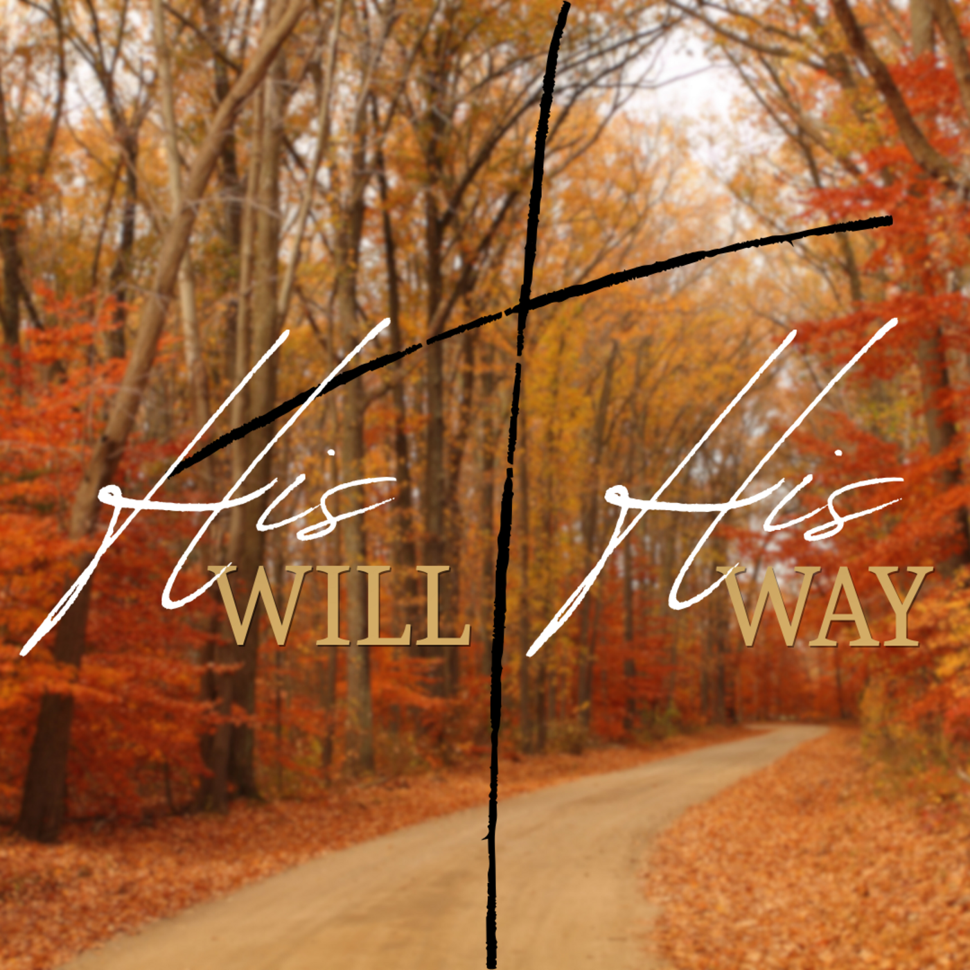 Episode 138: His Will, His Way