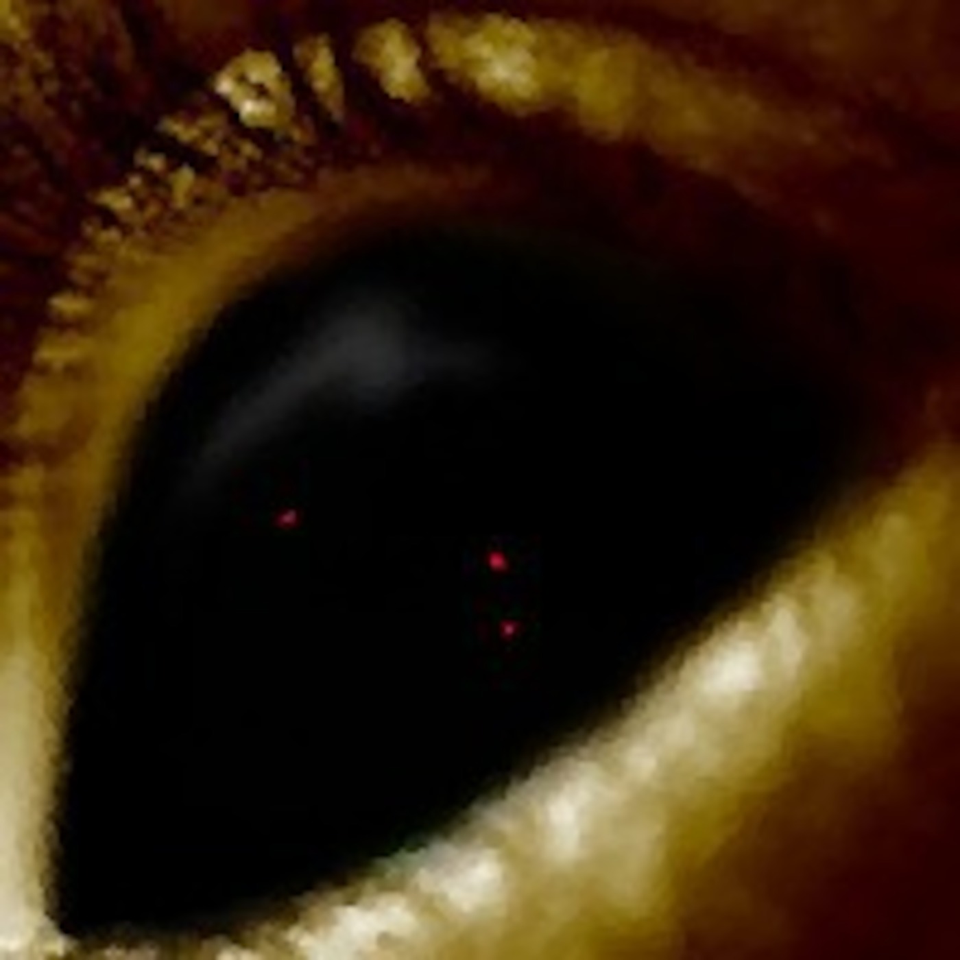 Concealed Weapons Radio Episode 1