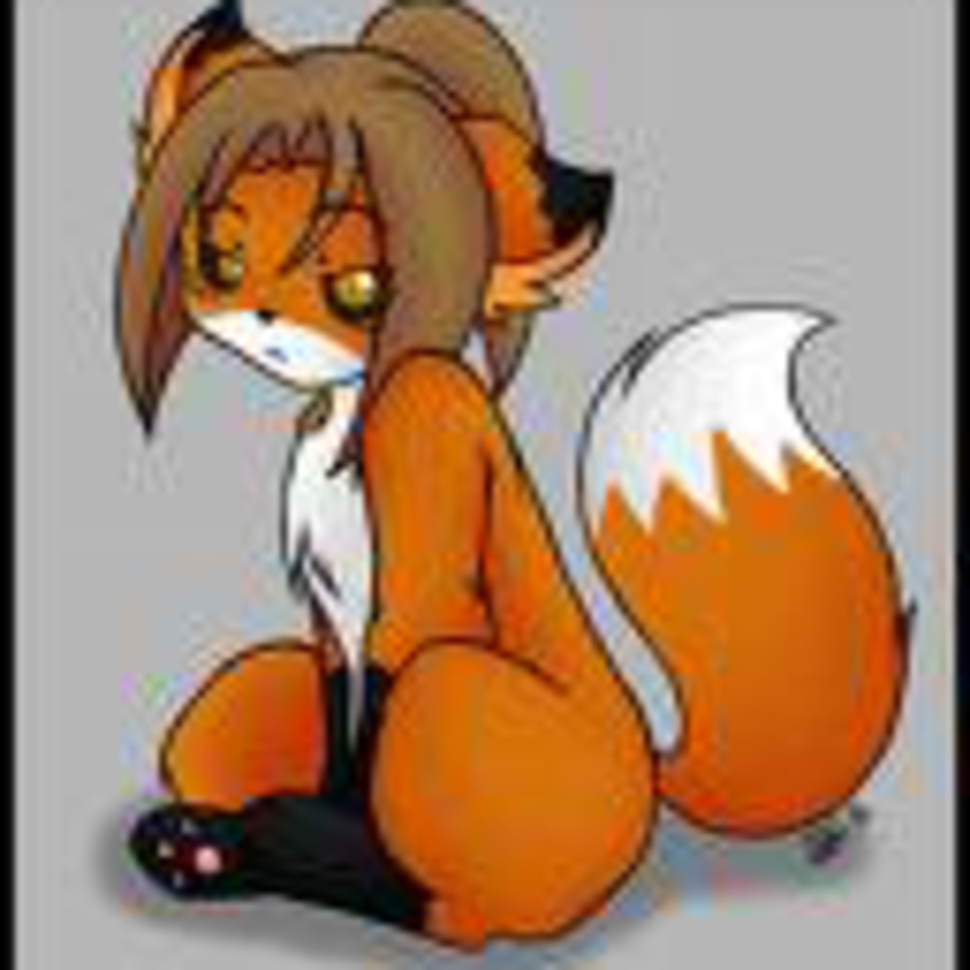 Concealed Weapons Radio