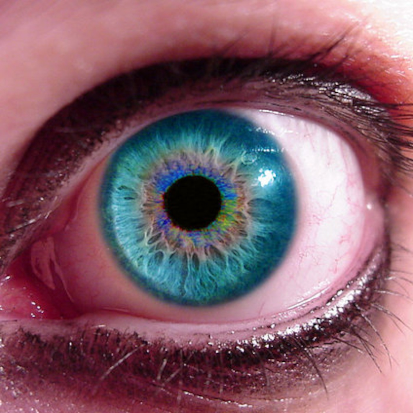 Concealed Weapons Radio Episode 2