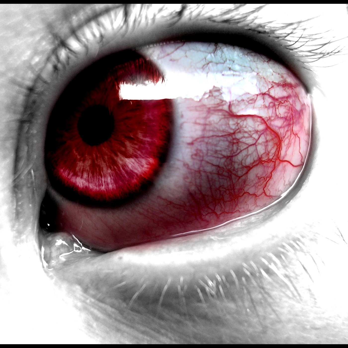 Concealed Weapons Radio Episode 12