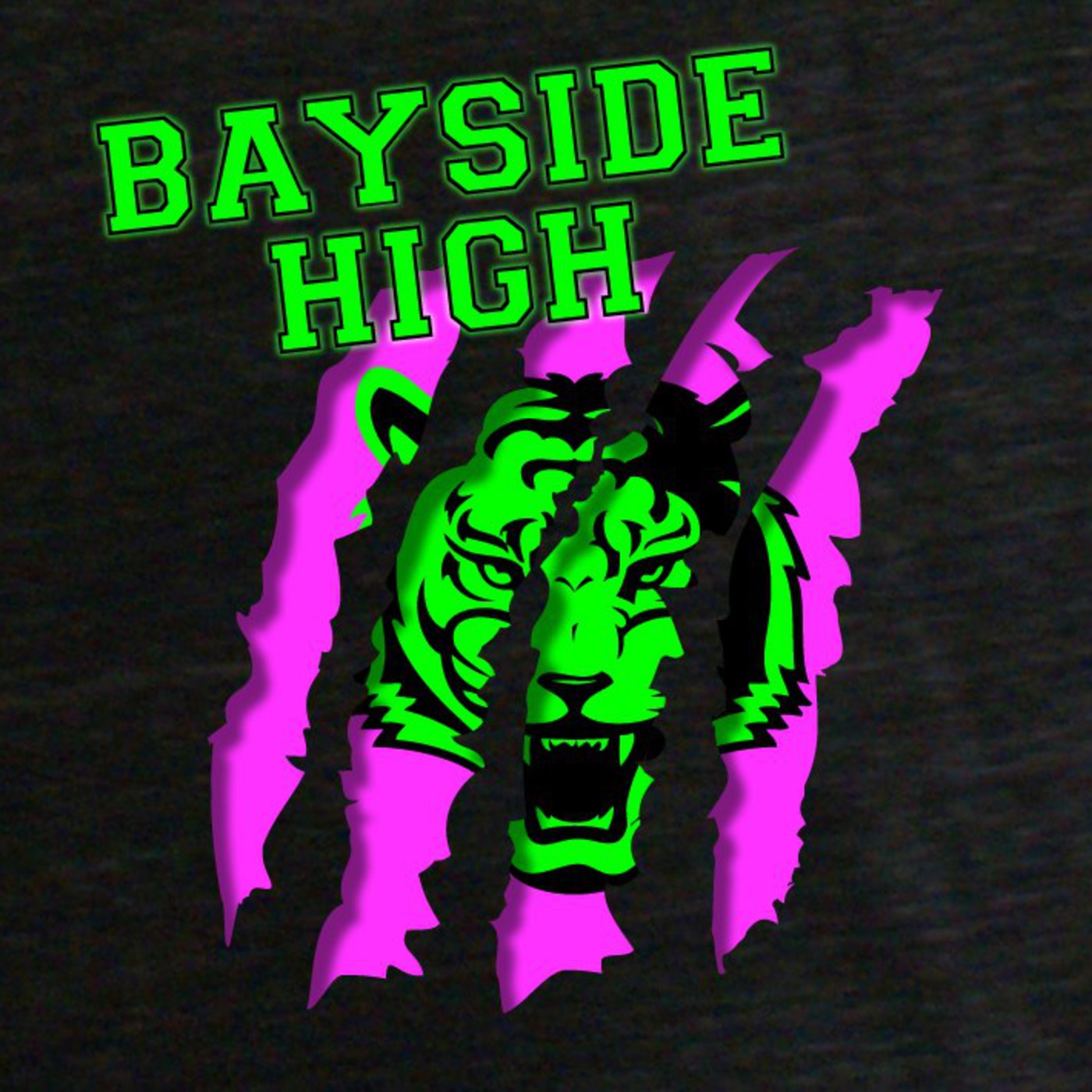 Bayside High - Extracurricular Activities 004