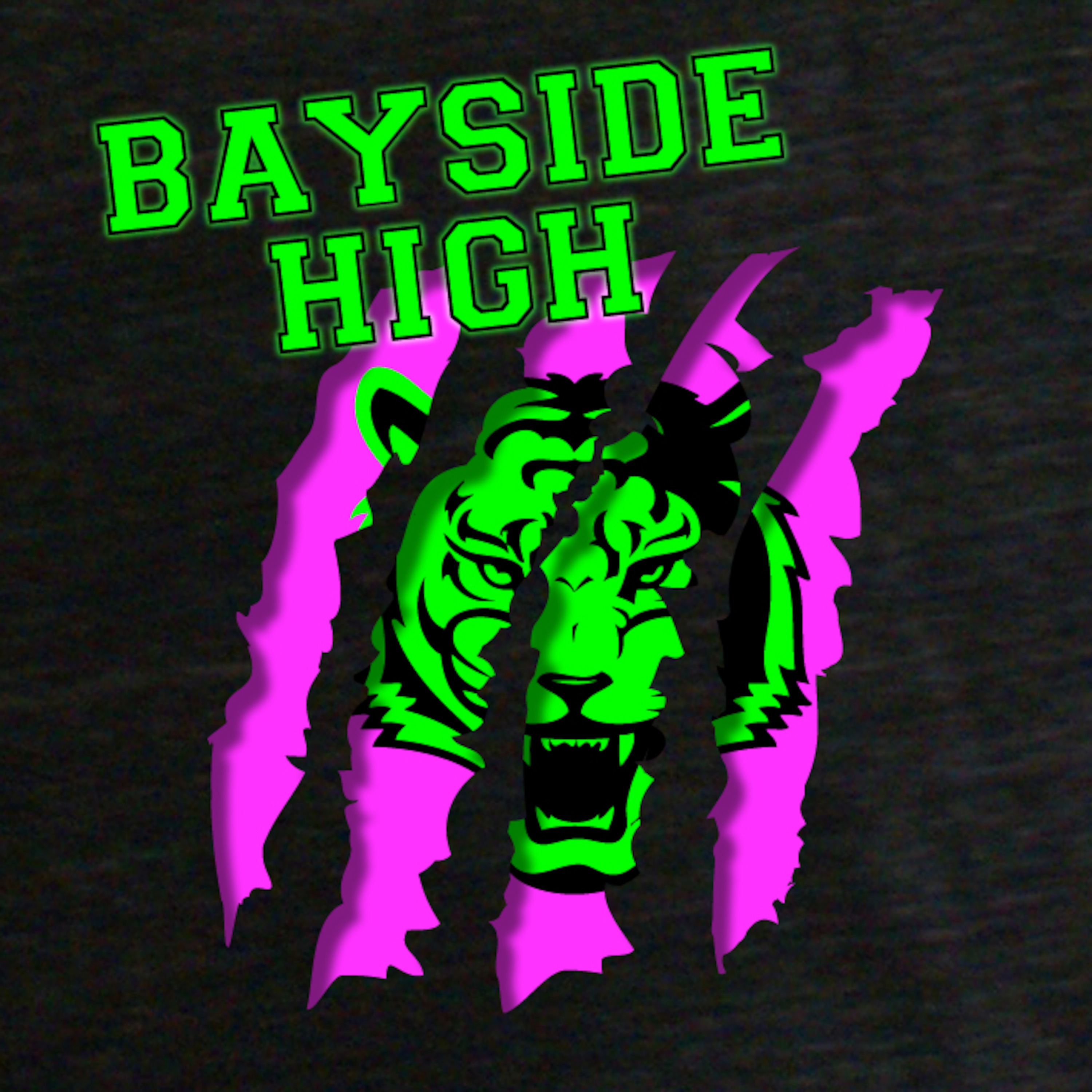 Bayside High - Extracurricular Activities