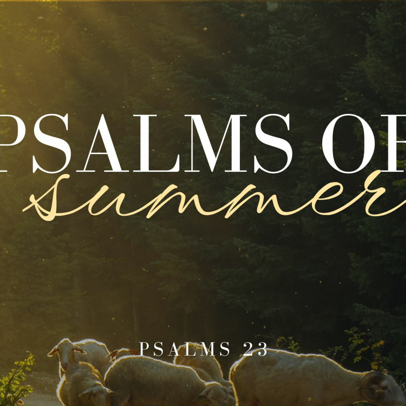 Episode 387: “A Hug That Won’t Let Go” Psalm 23