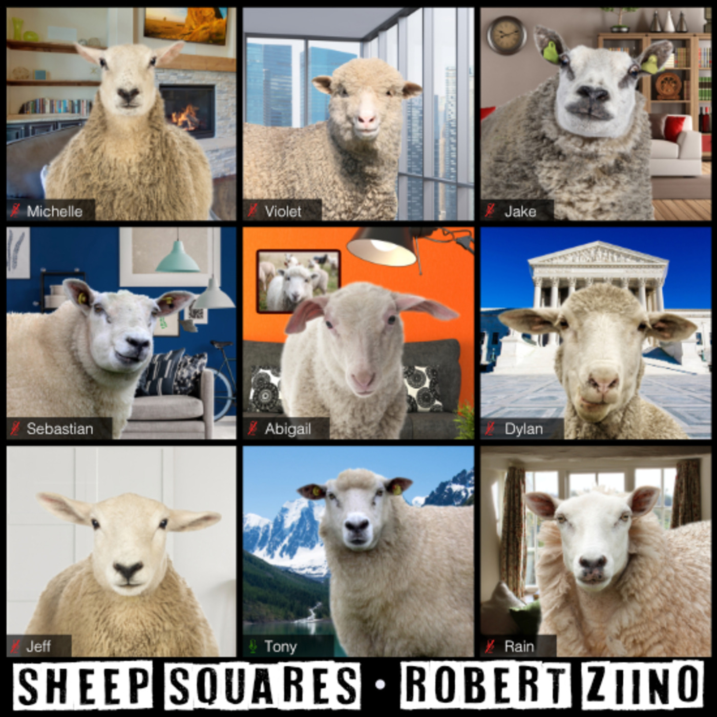 Episode 186: Sheep Squares