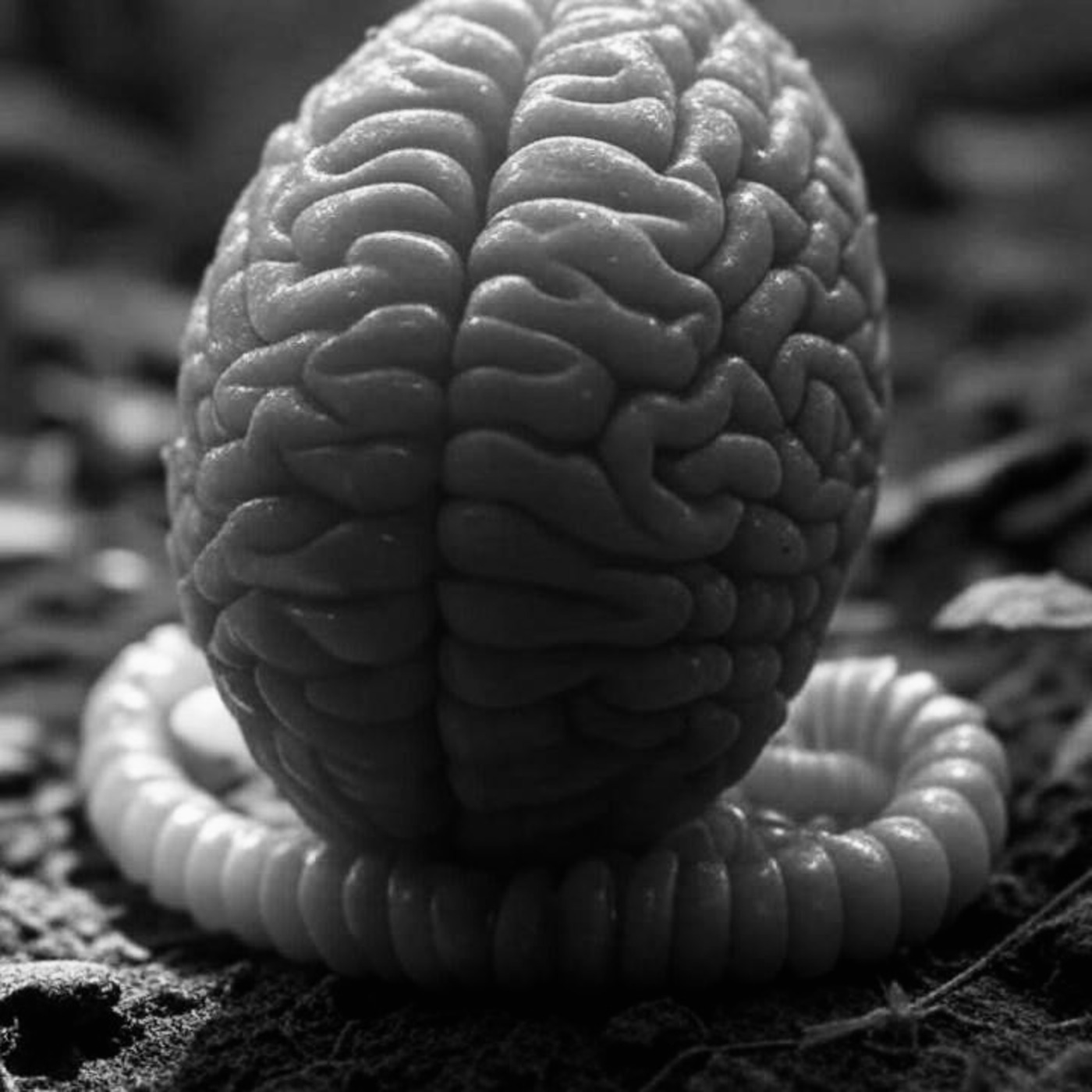 Episode 415: Worm Brain
